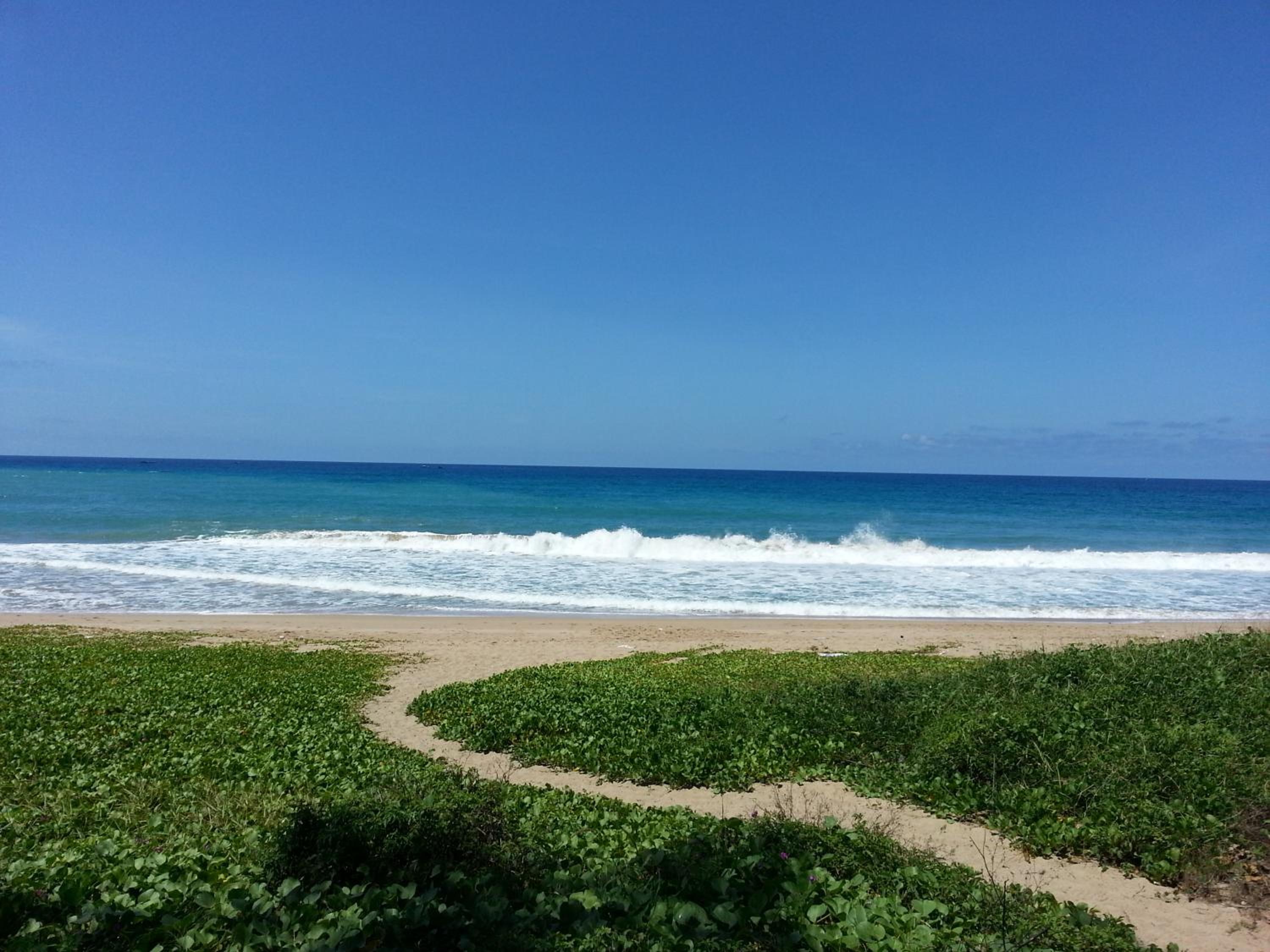 Yujian Kending Tese Homestay view 2