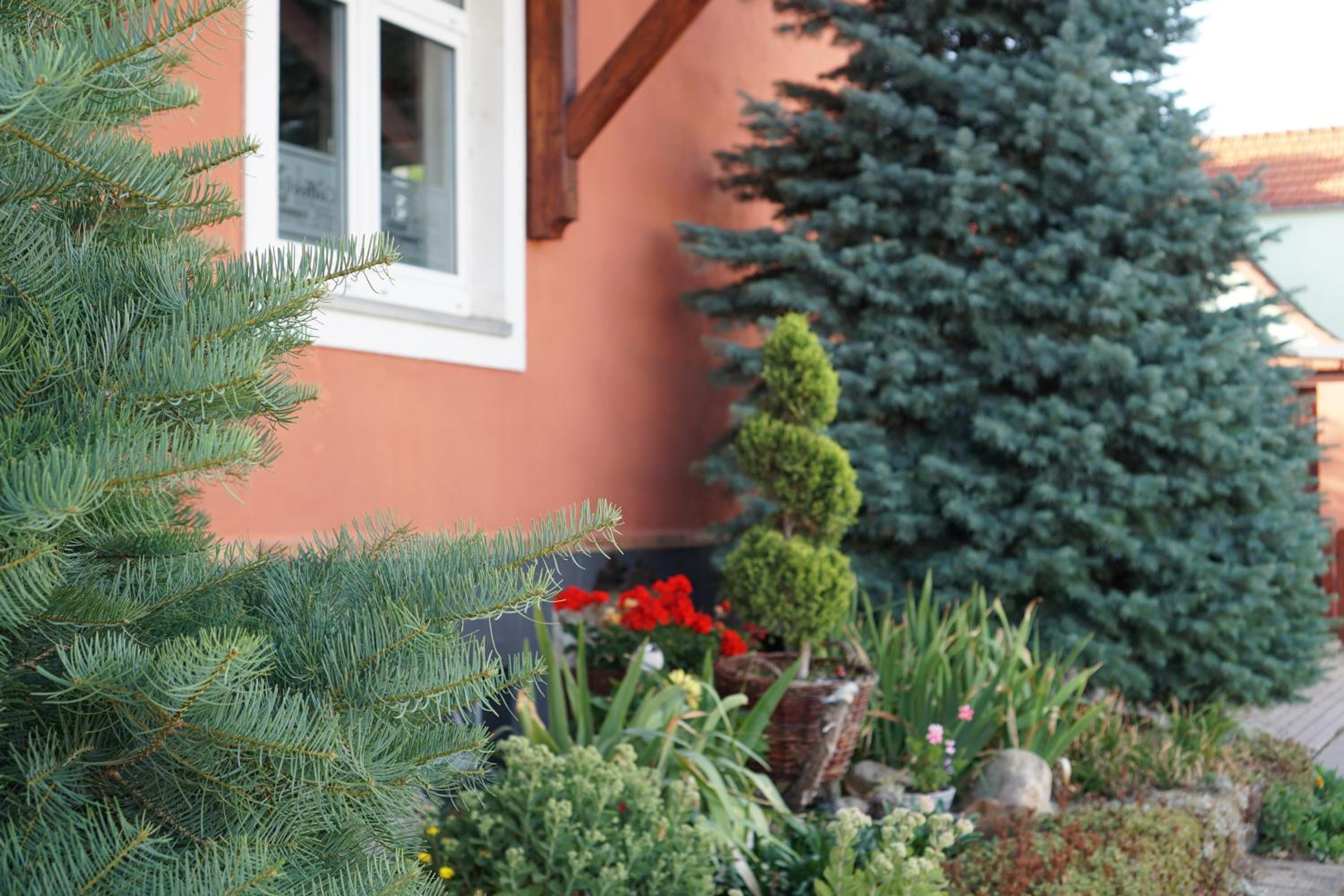 Ferienwohnung Midgard im Sagenharz - Family-Apartment, 2 SZ & WLAN view 3