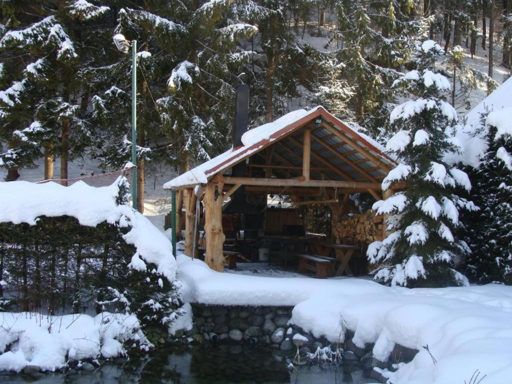 Photo 12