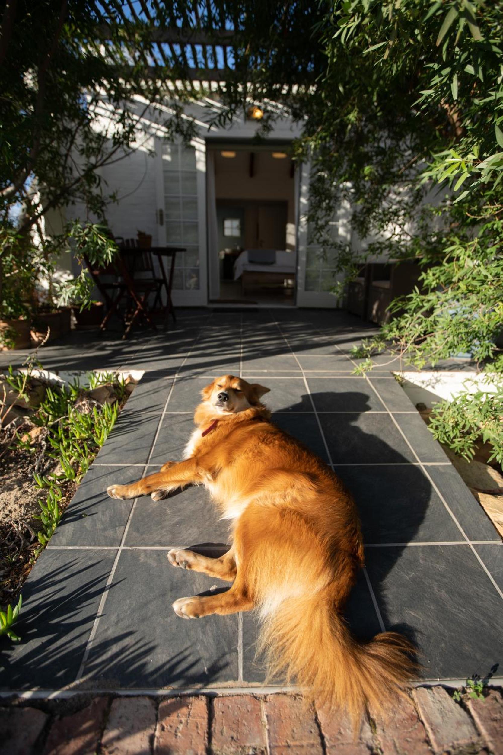 Kogman & Keisie Guest Farm
