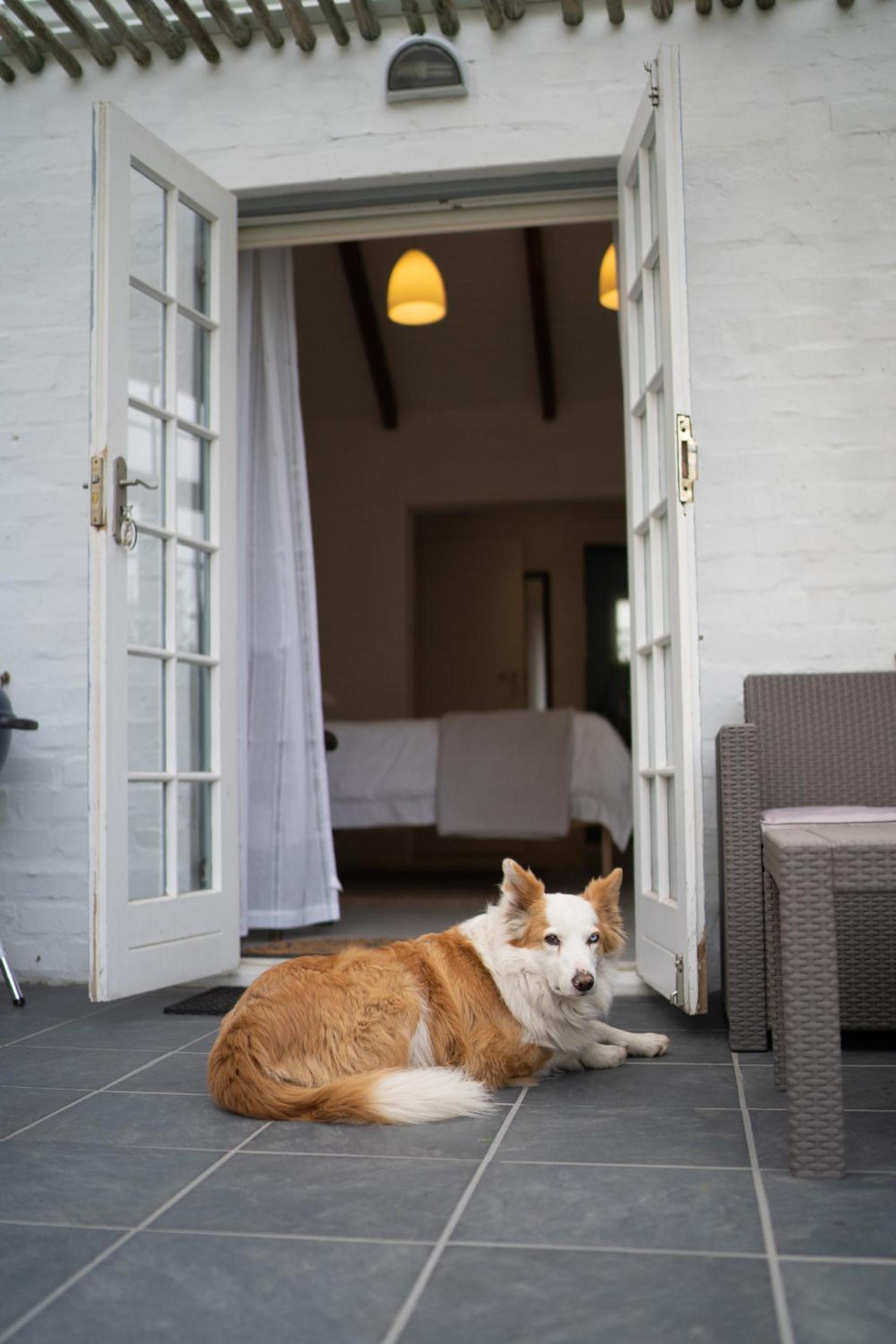 Kogman & Keisie Guest Farm