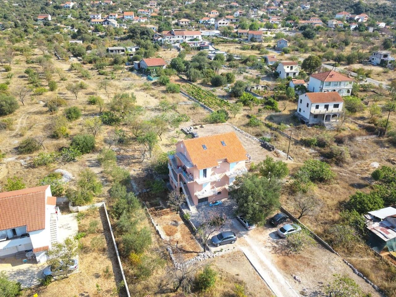 Apartment Maslina