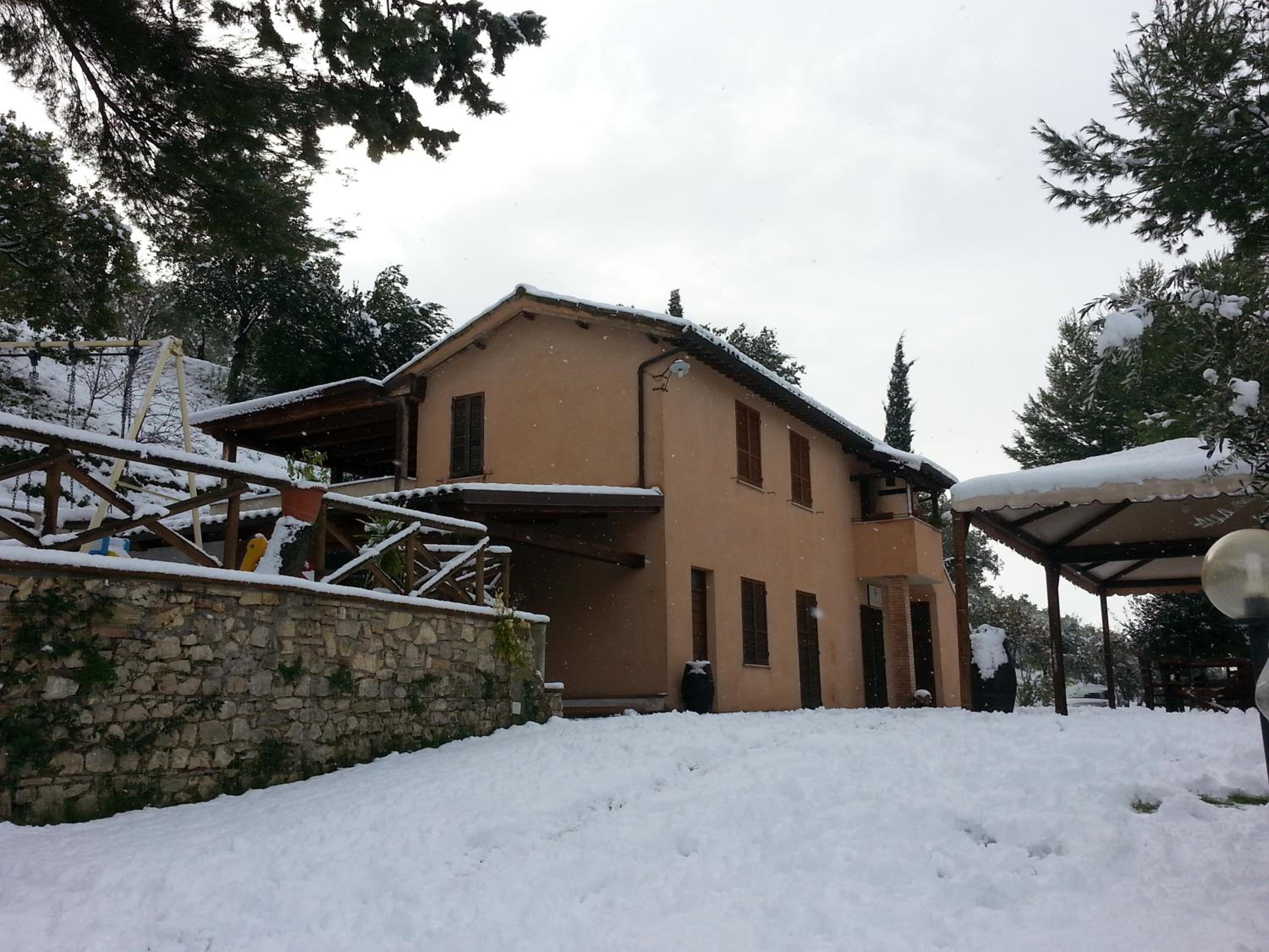 Photo 12