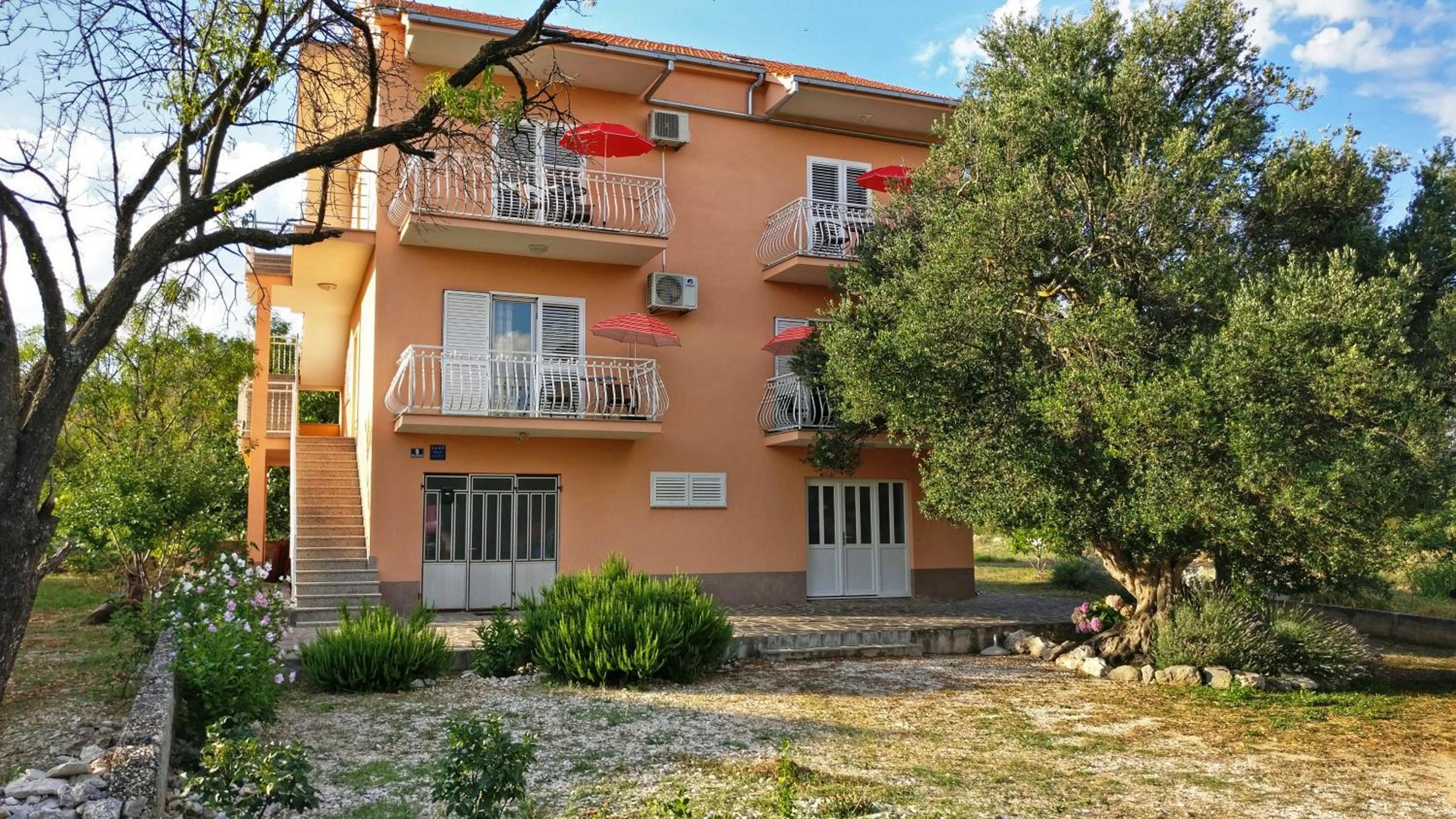 Apartment Maslina