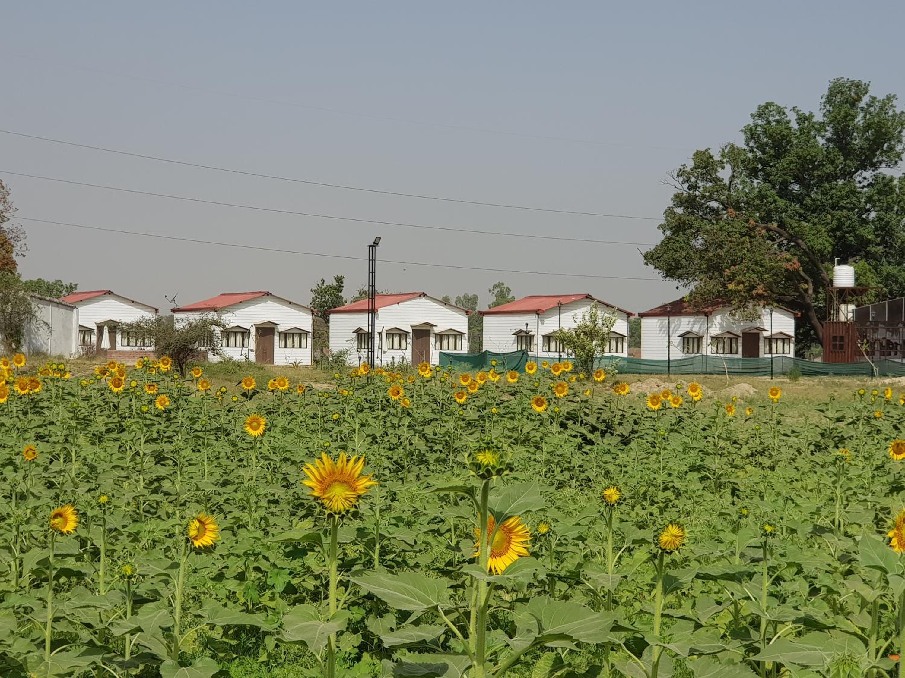 Living Green Farms - Property Image 1