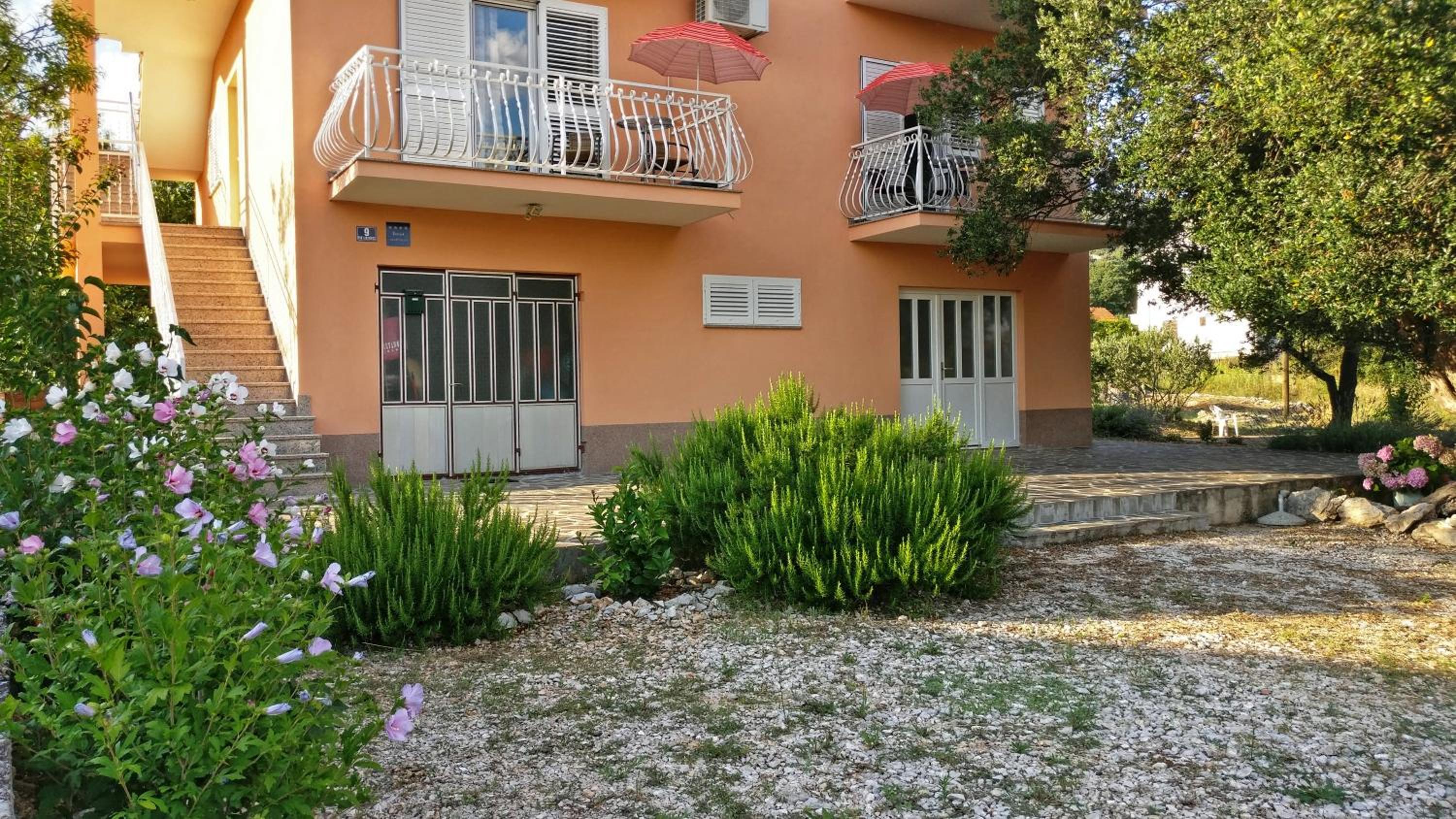 Apartment Maslina