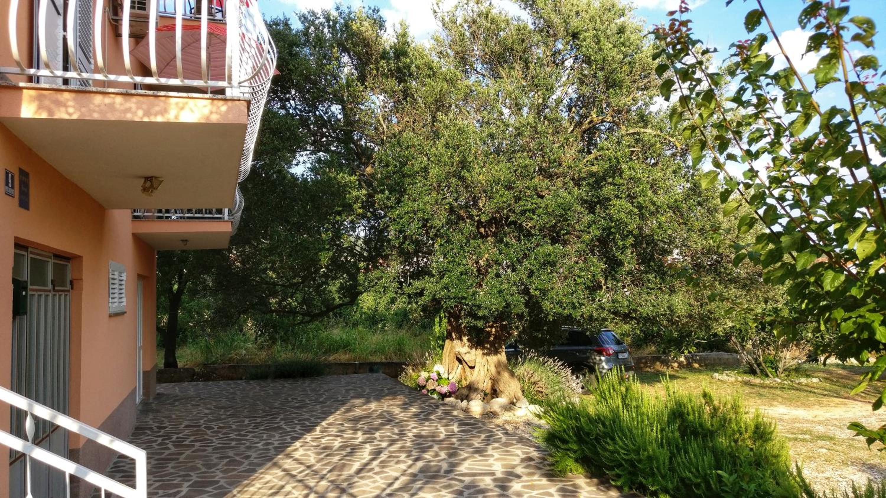 Apartment Maslina