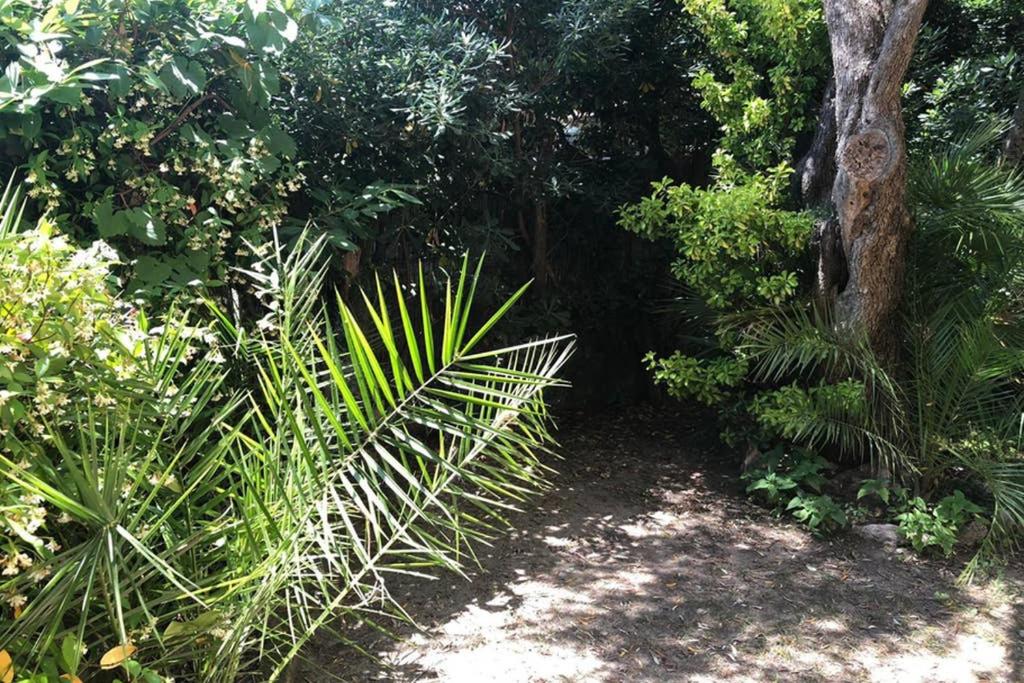 House with garden Baia dei Saraceni view 2