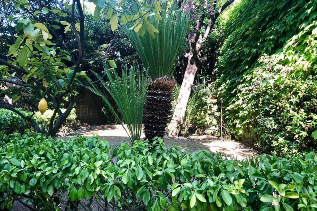 House with garden Baia dei Saraceni view 4