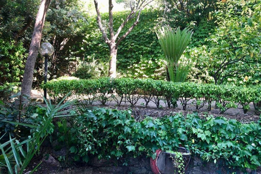 Photo 45