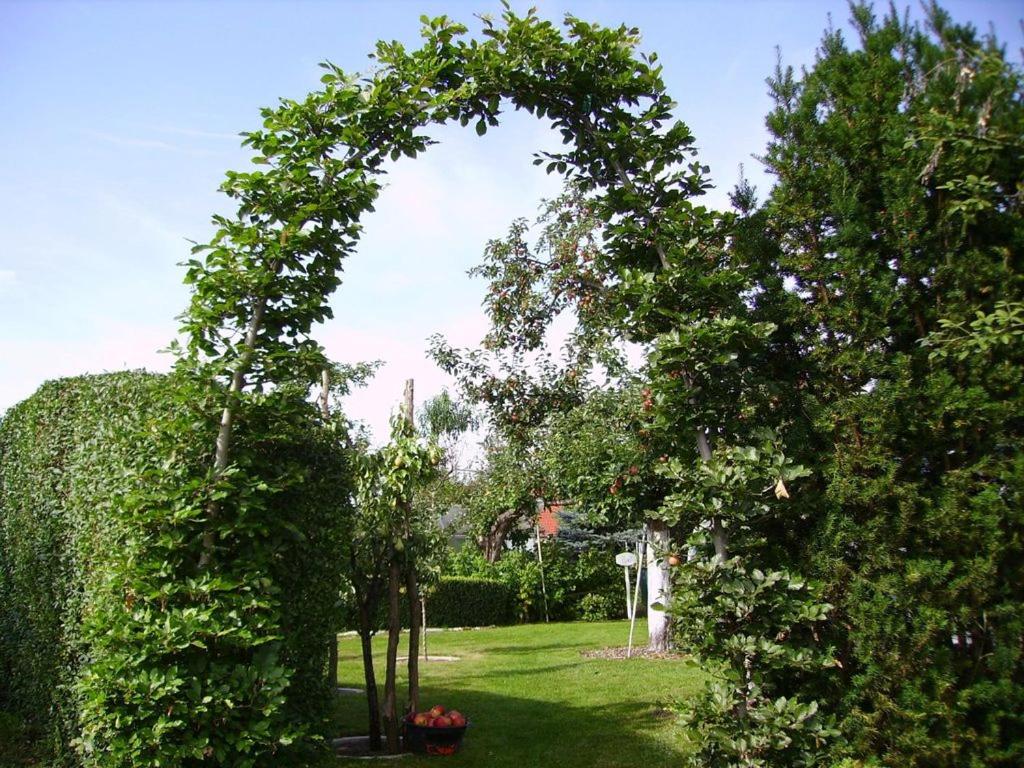 Ferienhaus-Weitblick view 4
