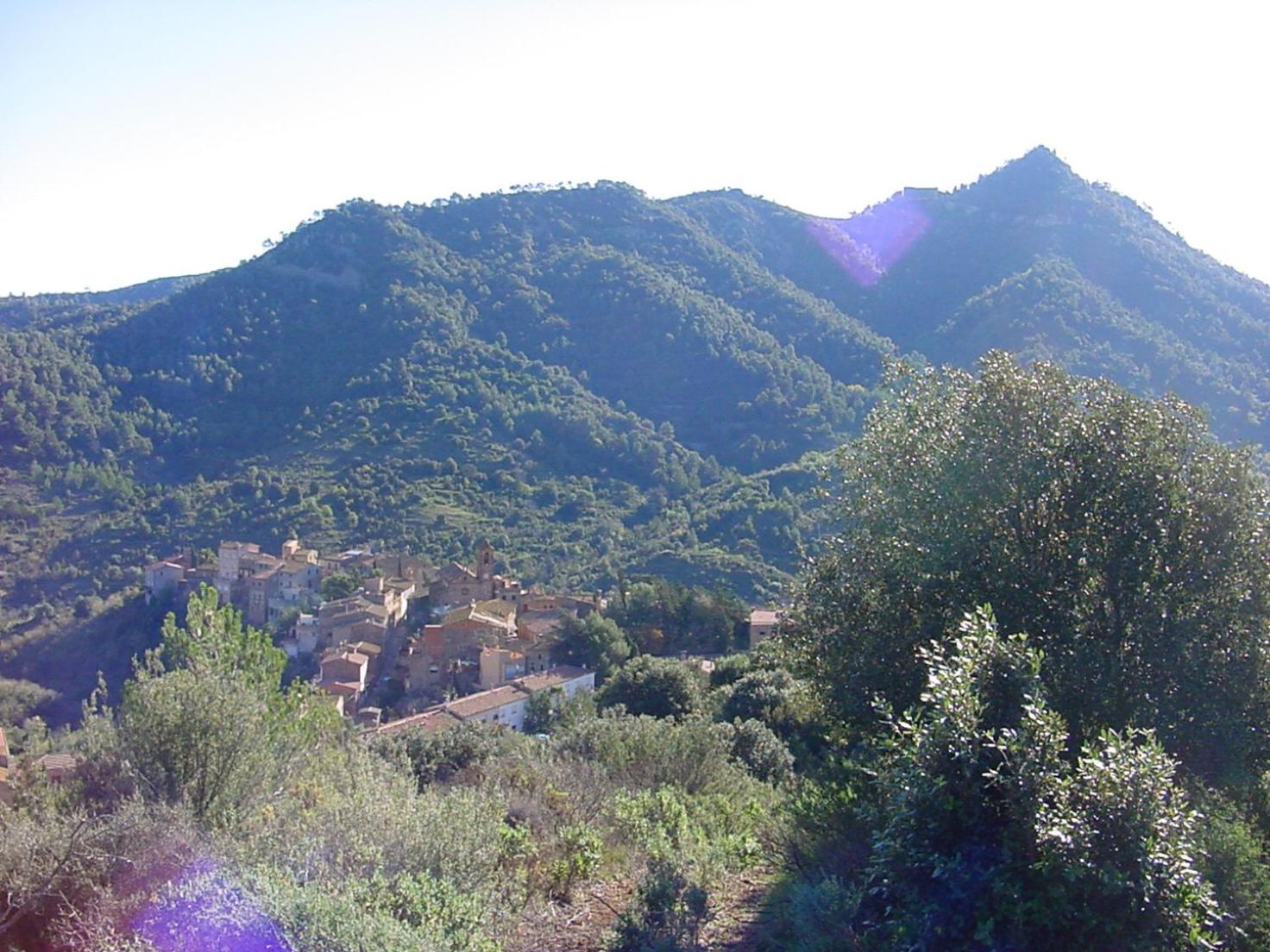 Photo 22