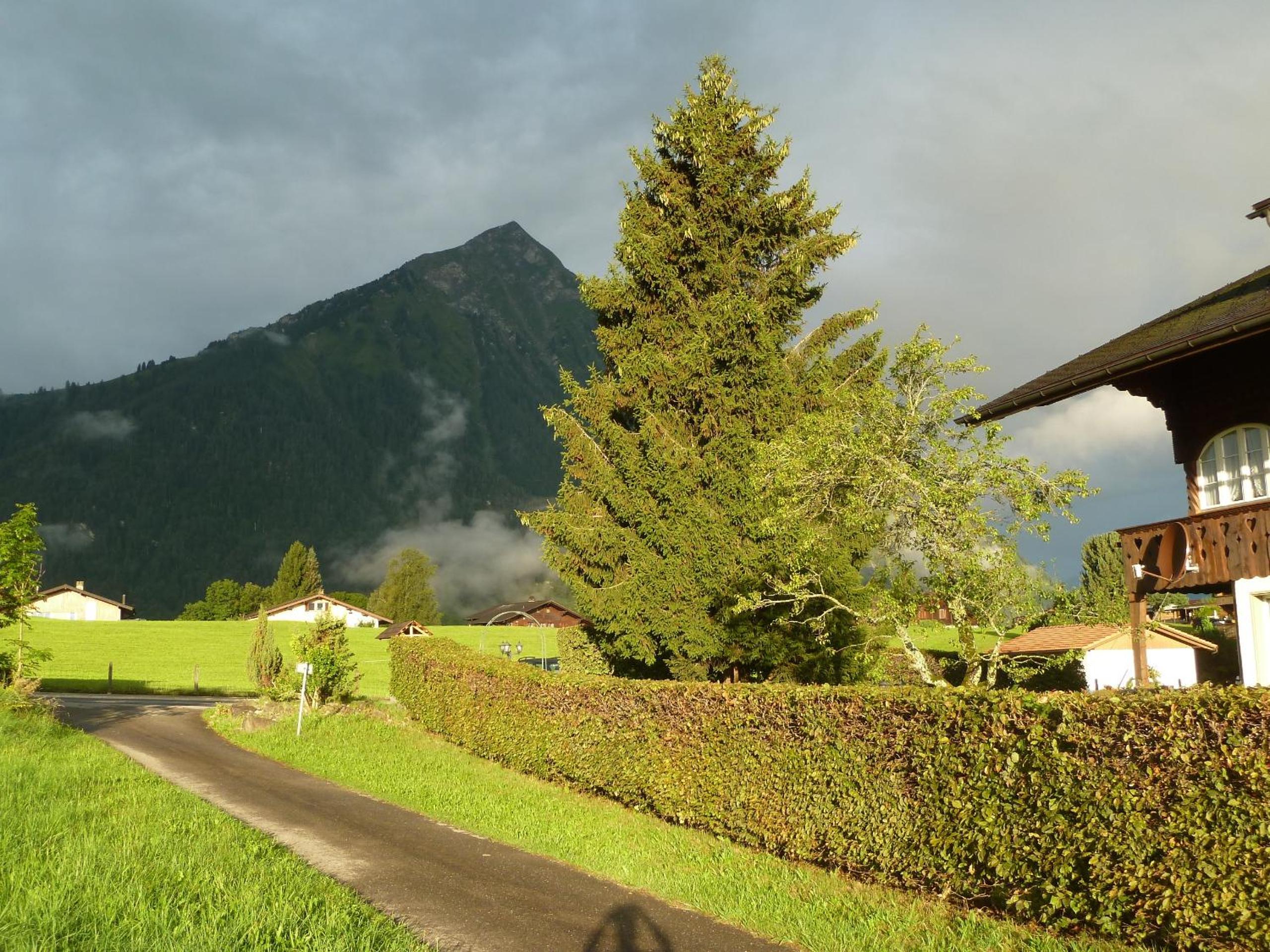 Hotel Restaurant Sunnmatt