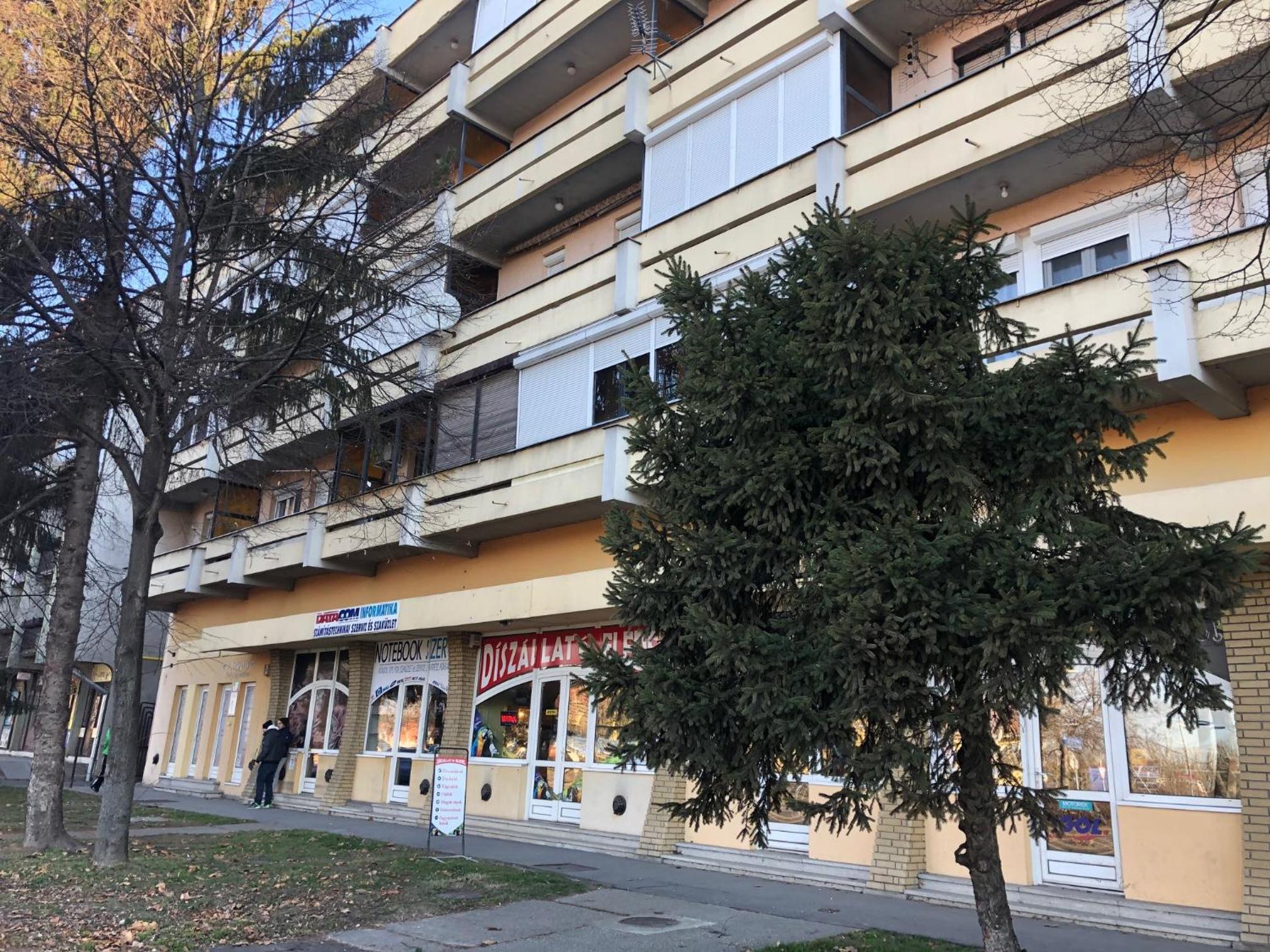 Photo 14
