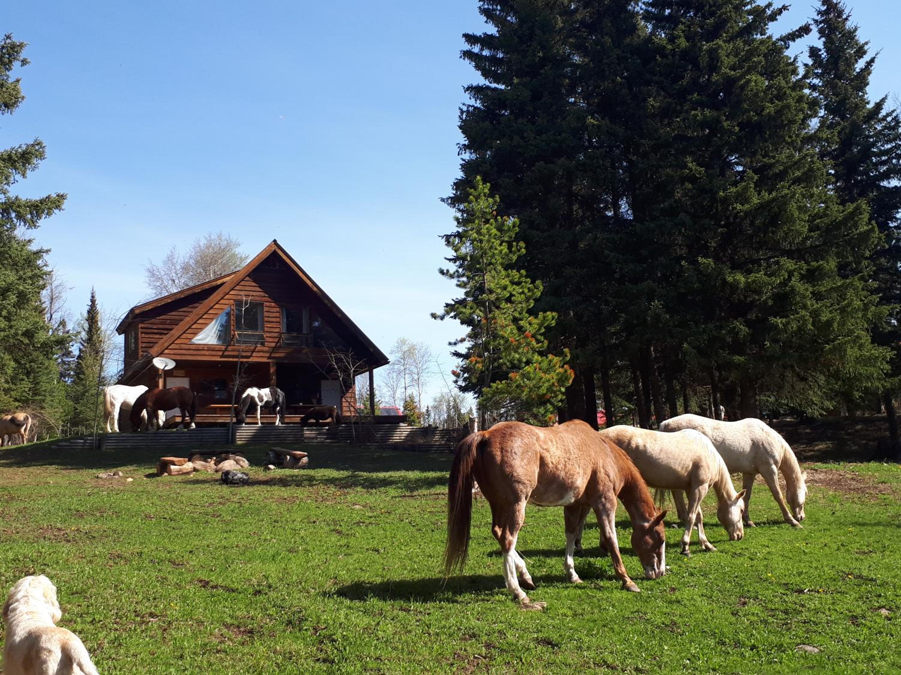 Wettstone Guest Ranch
