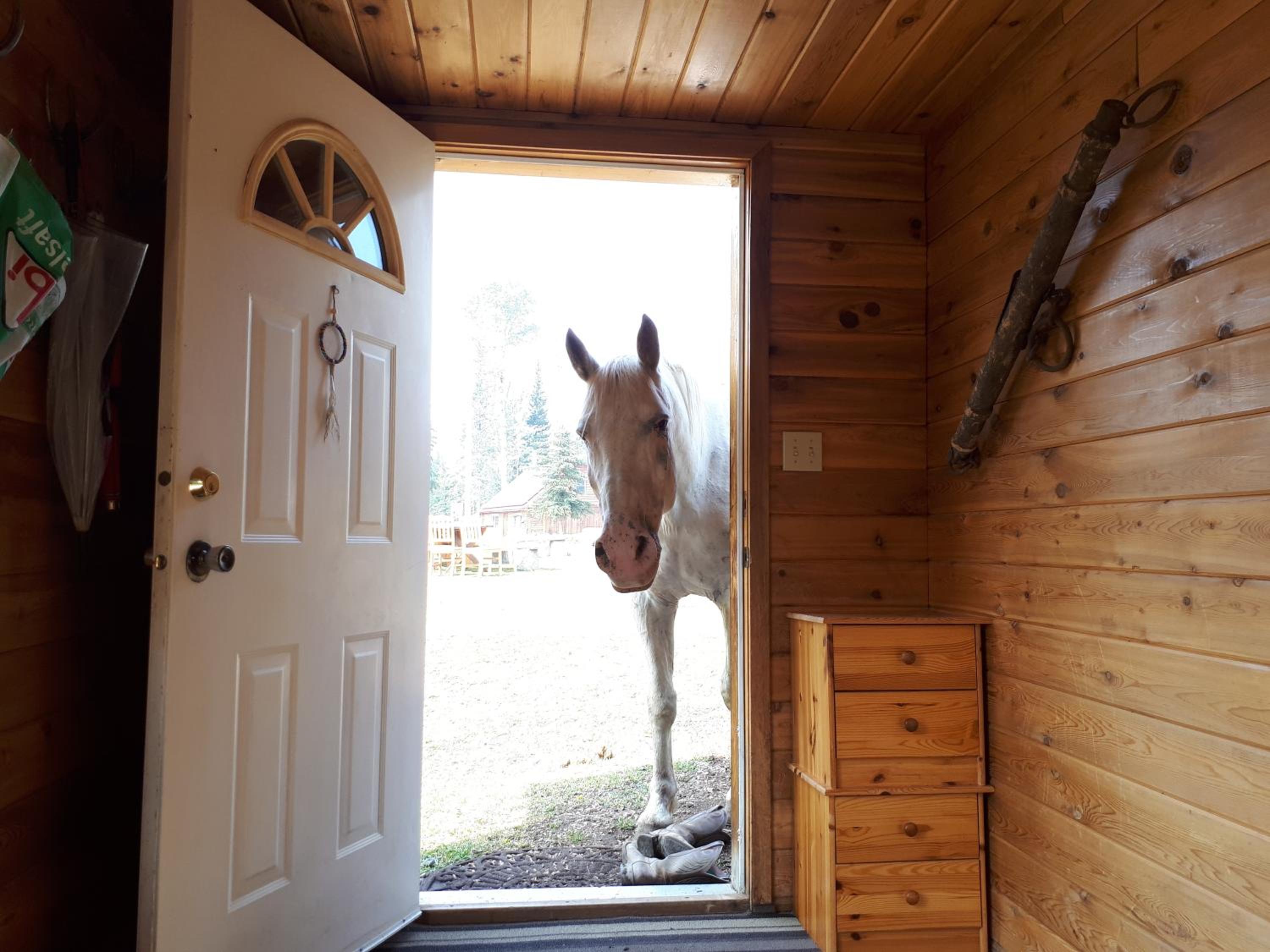 Wettstone Guest Ranch