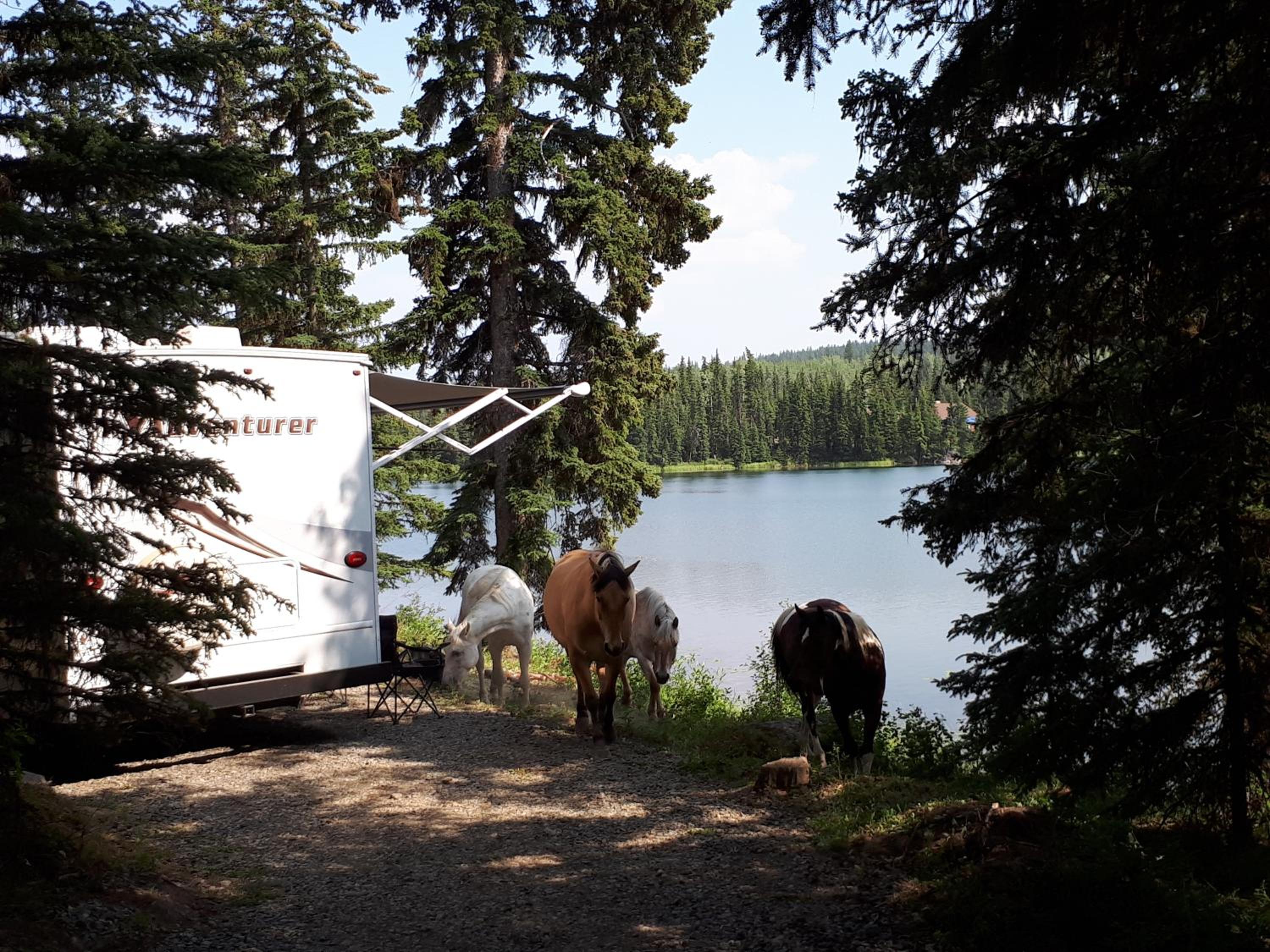Wettstone Guest Ranch