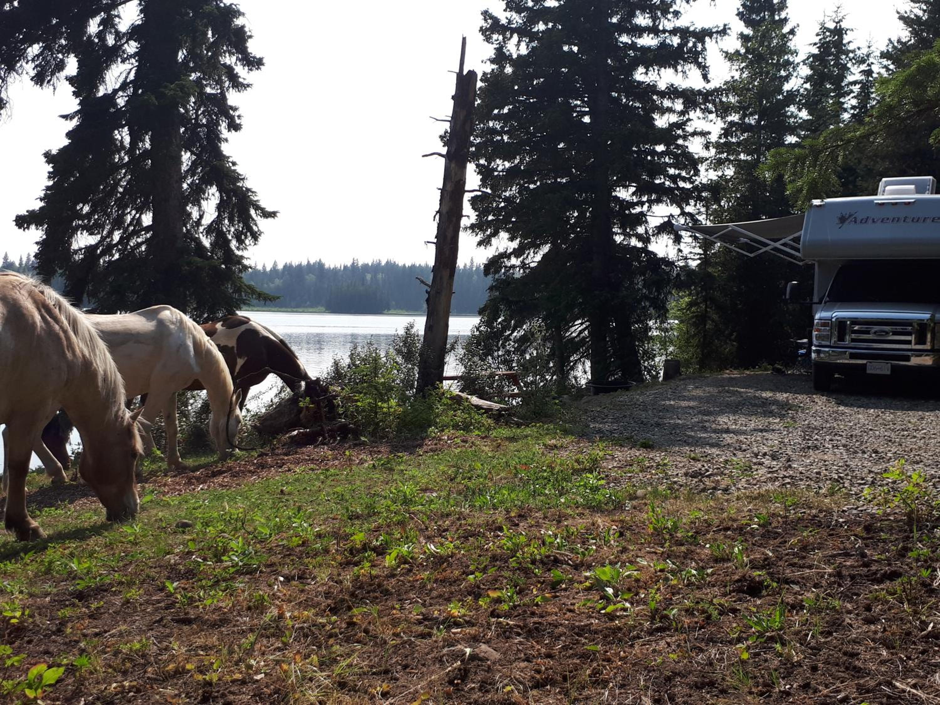Wettstone Guest Ranch