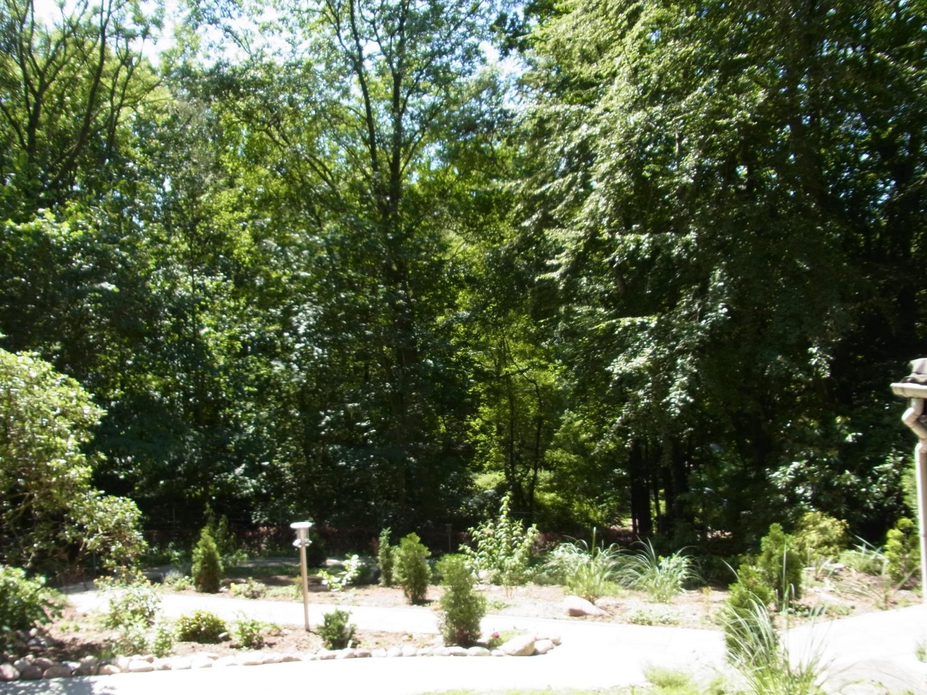Waldhütte am See