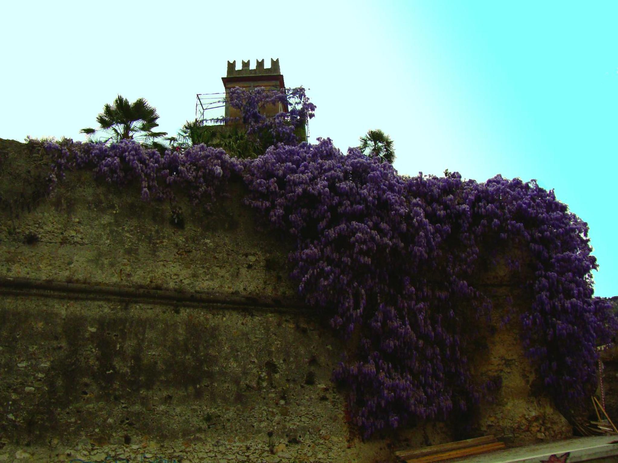 Ca di Ni