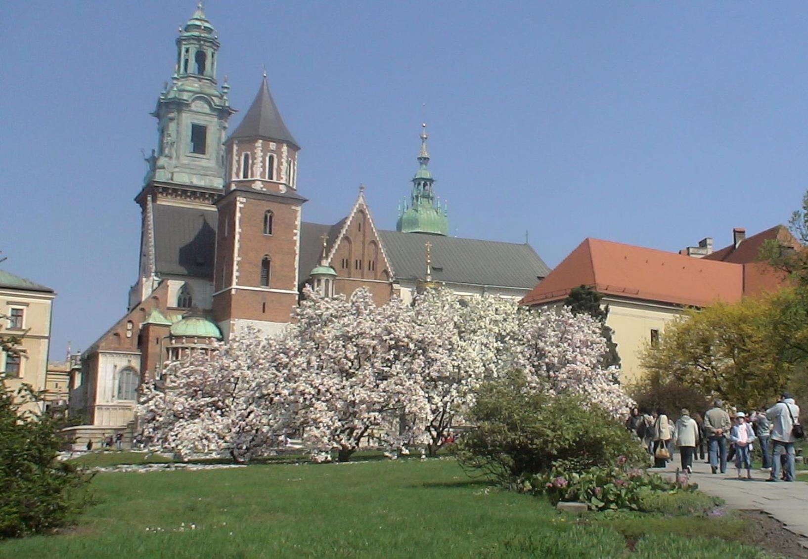 Photo 29