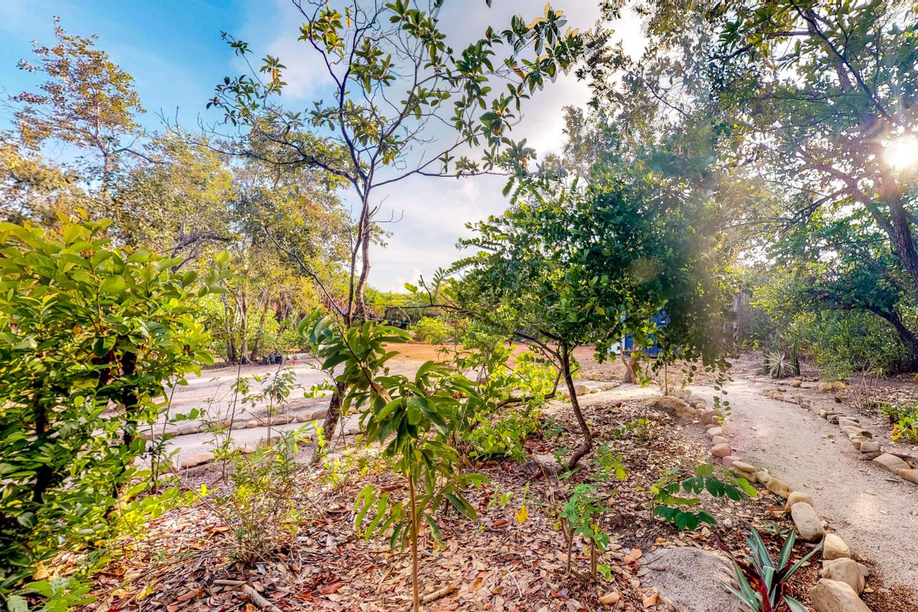 Inn The Trees Cabañas