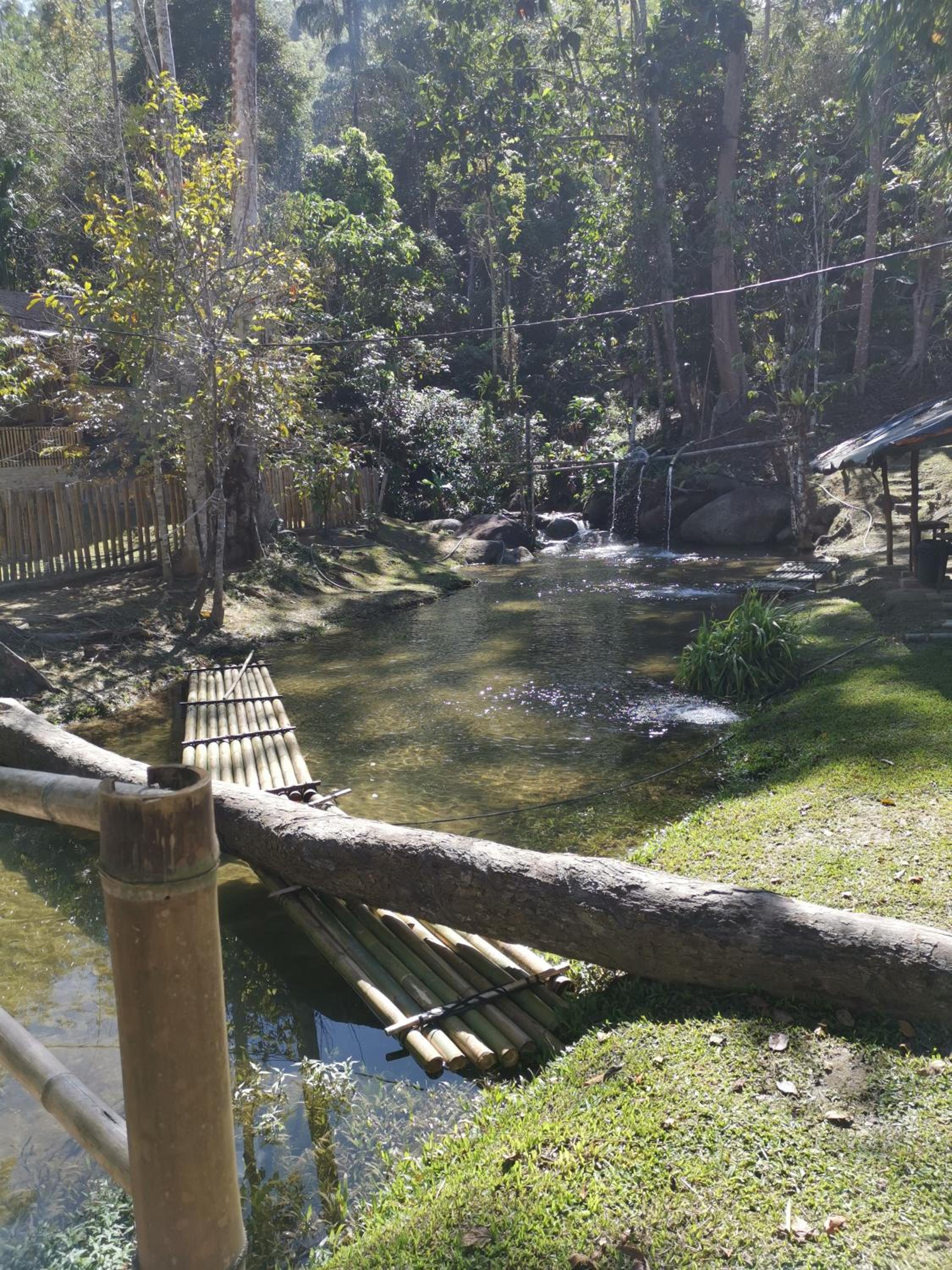 Rain Forest Inn