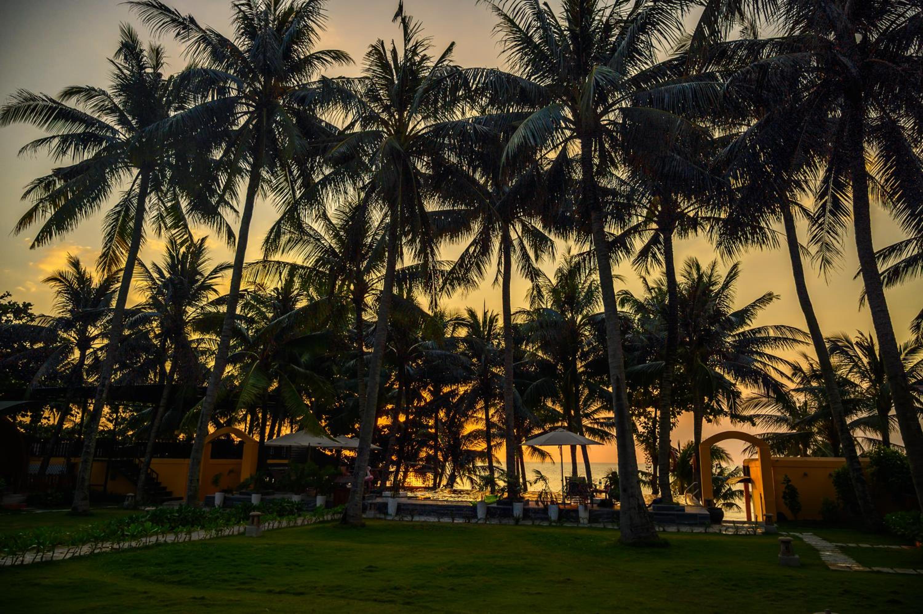 Vida Loca Sunset Beach Resort, photo 133