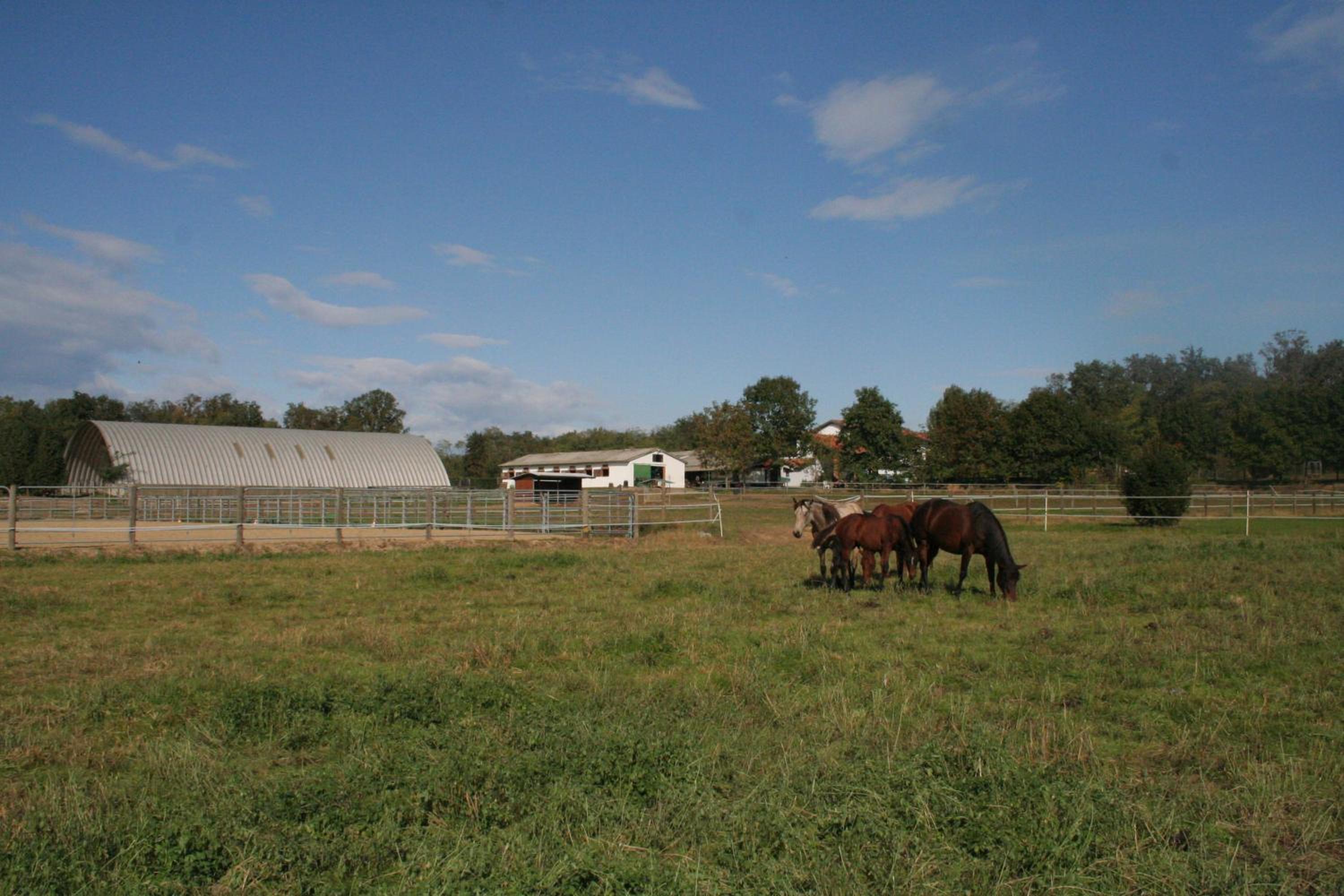 Agriturismo Fano's Farm