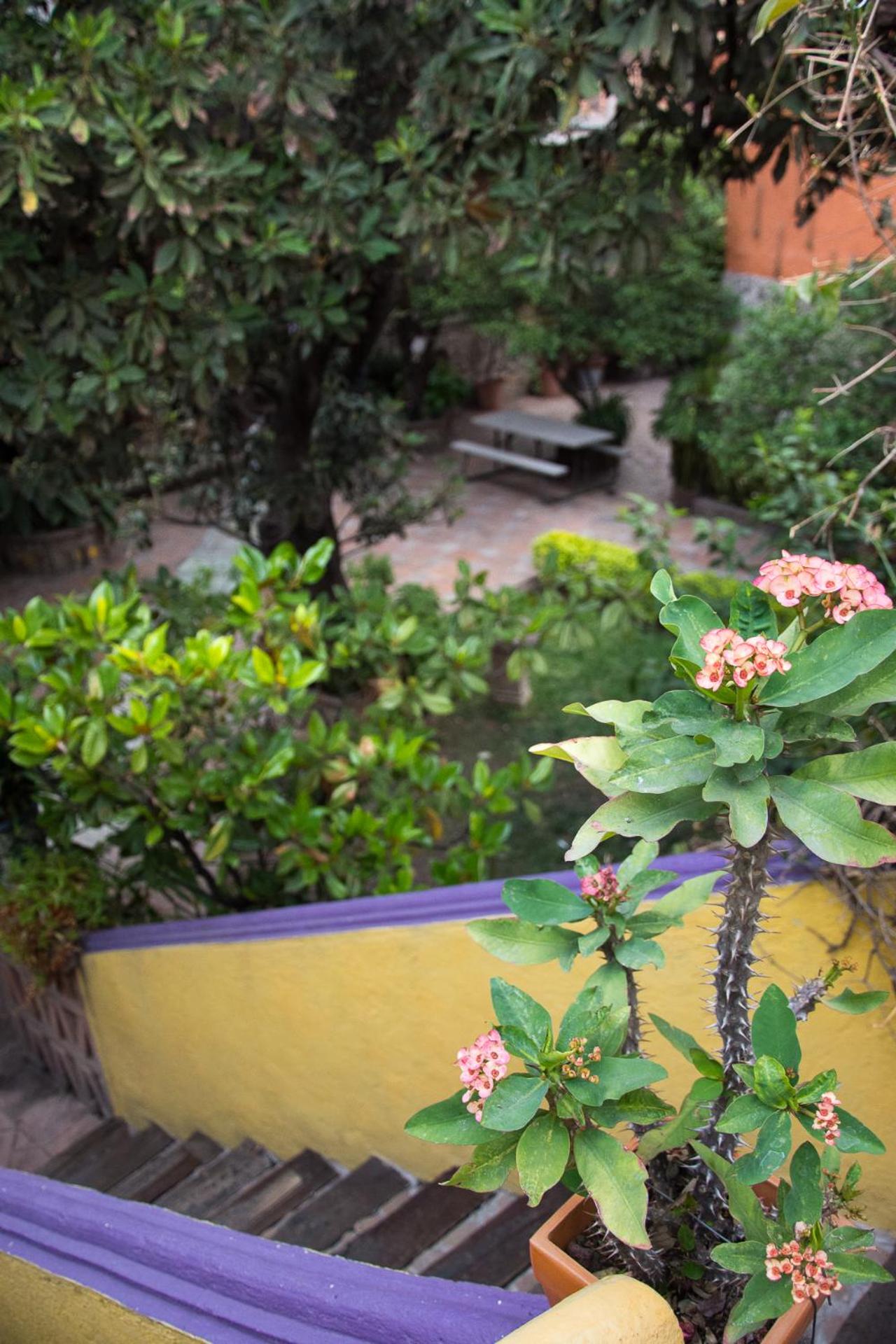 Lofts Las Cuatro Puertas