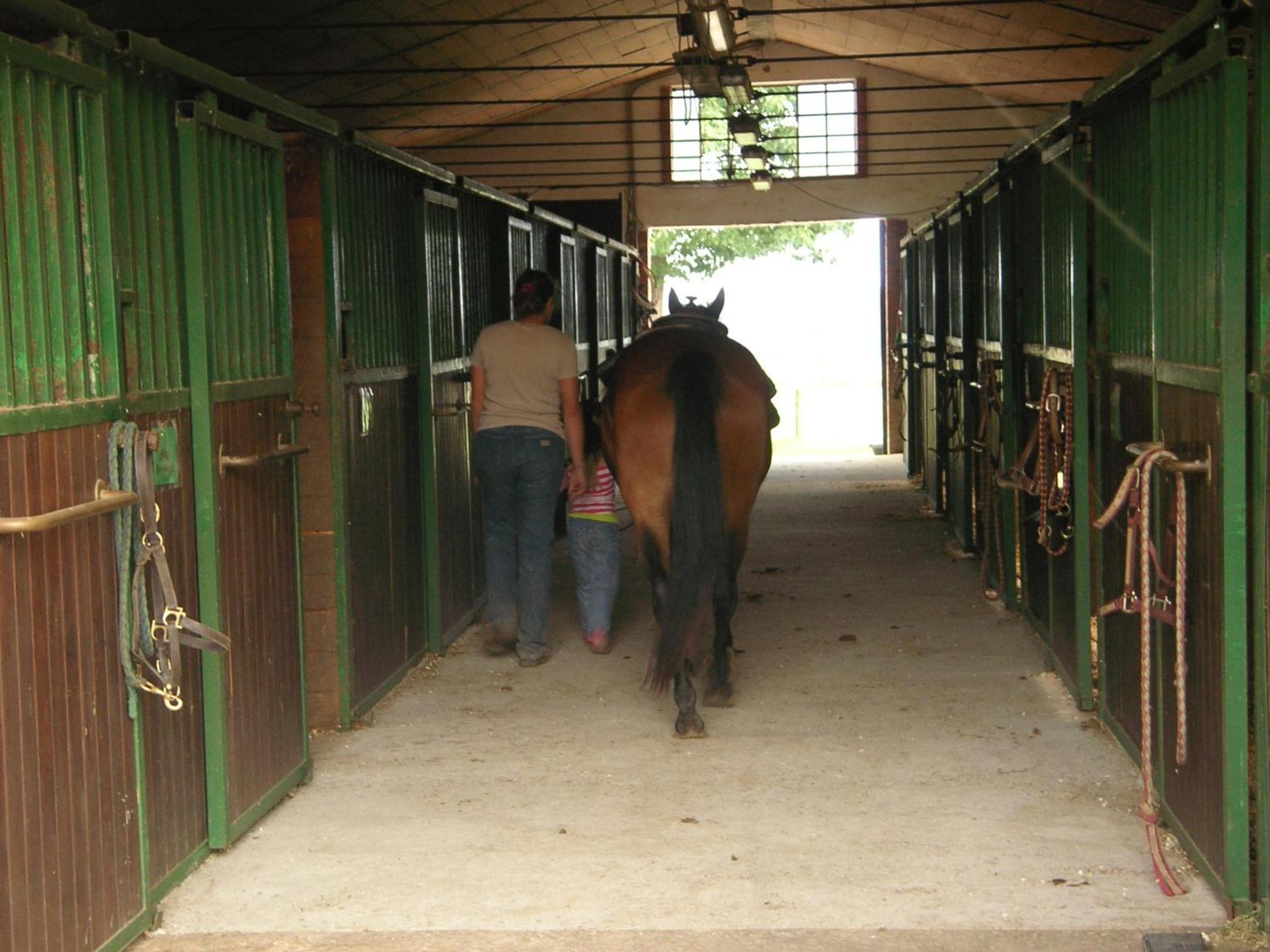 Agriturismo Fano's Farm