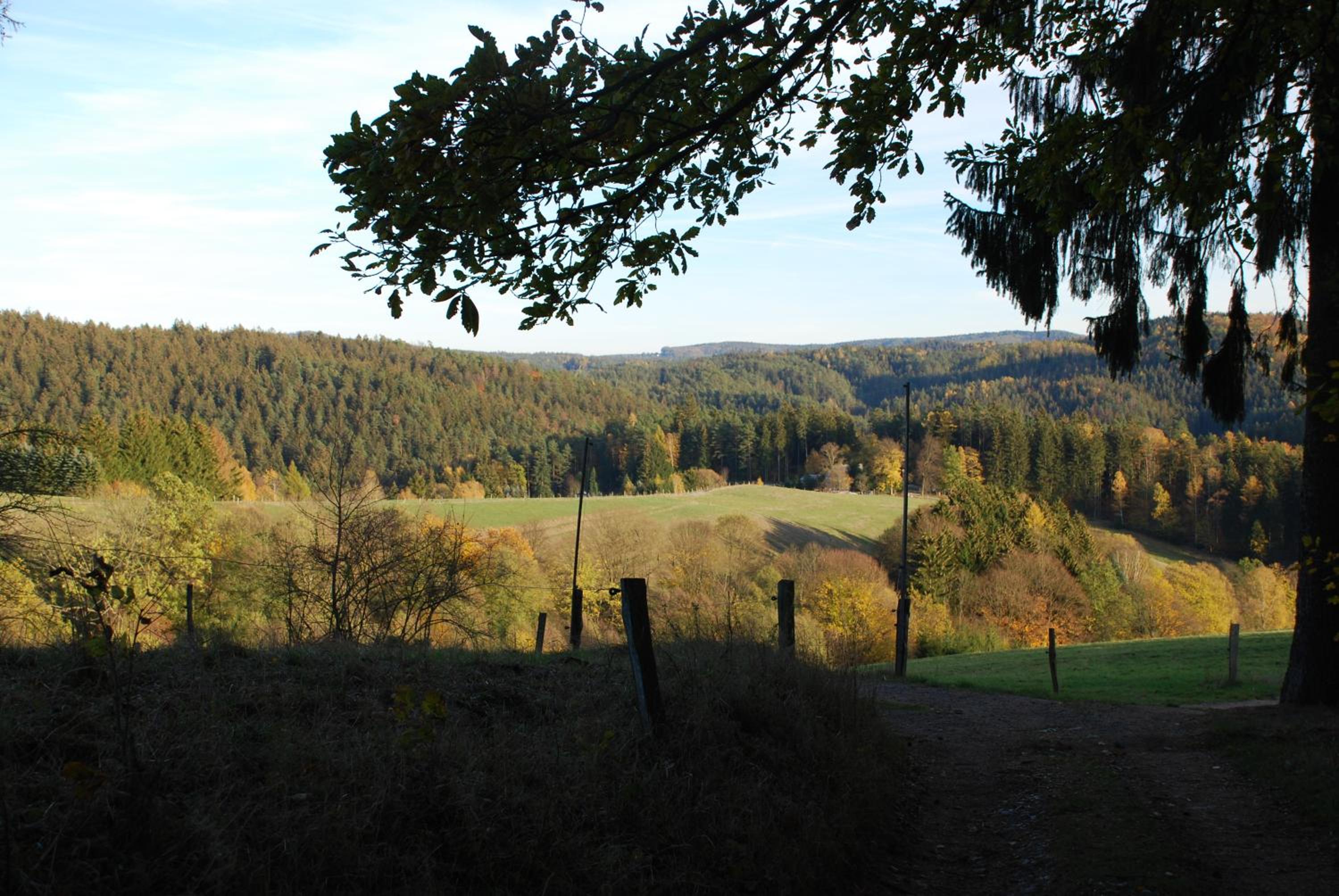 Ferienoase Hinterhermsdorf view 4