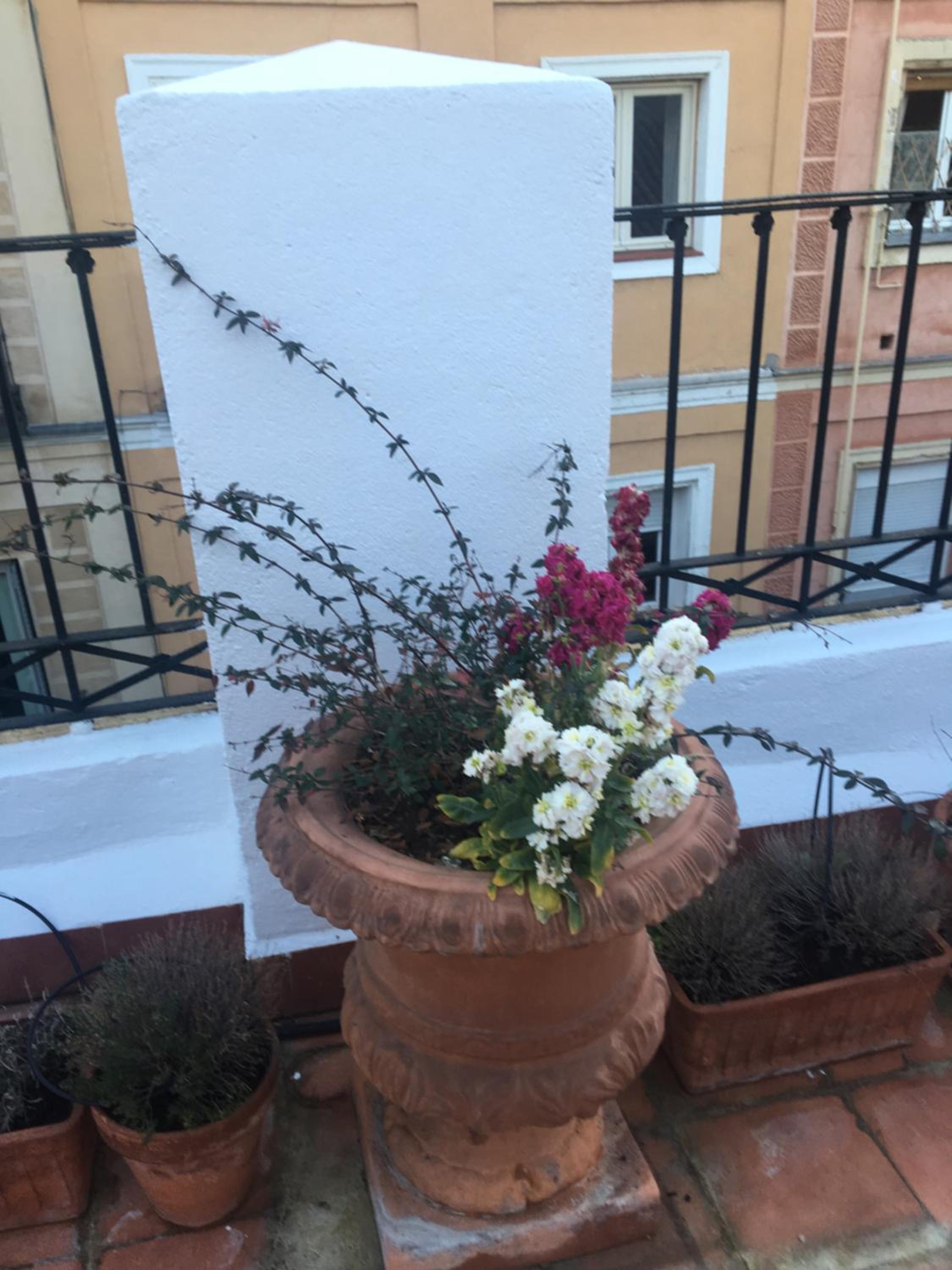 Spacious Penthouse with Large Terrace in Malasaña view 5