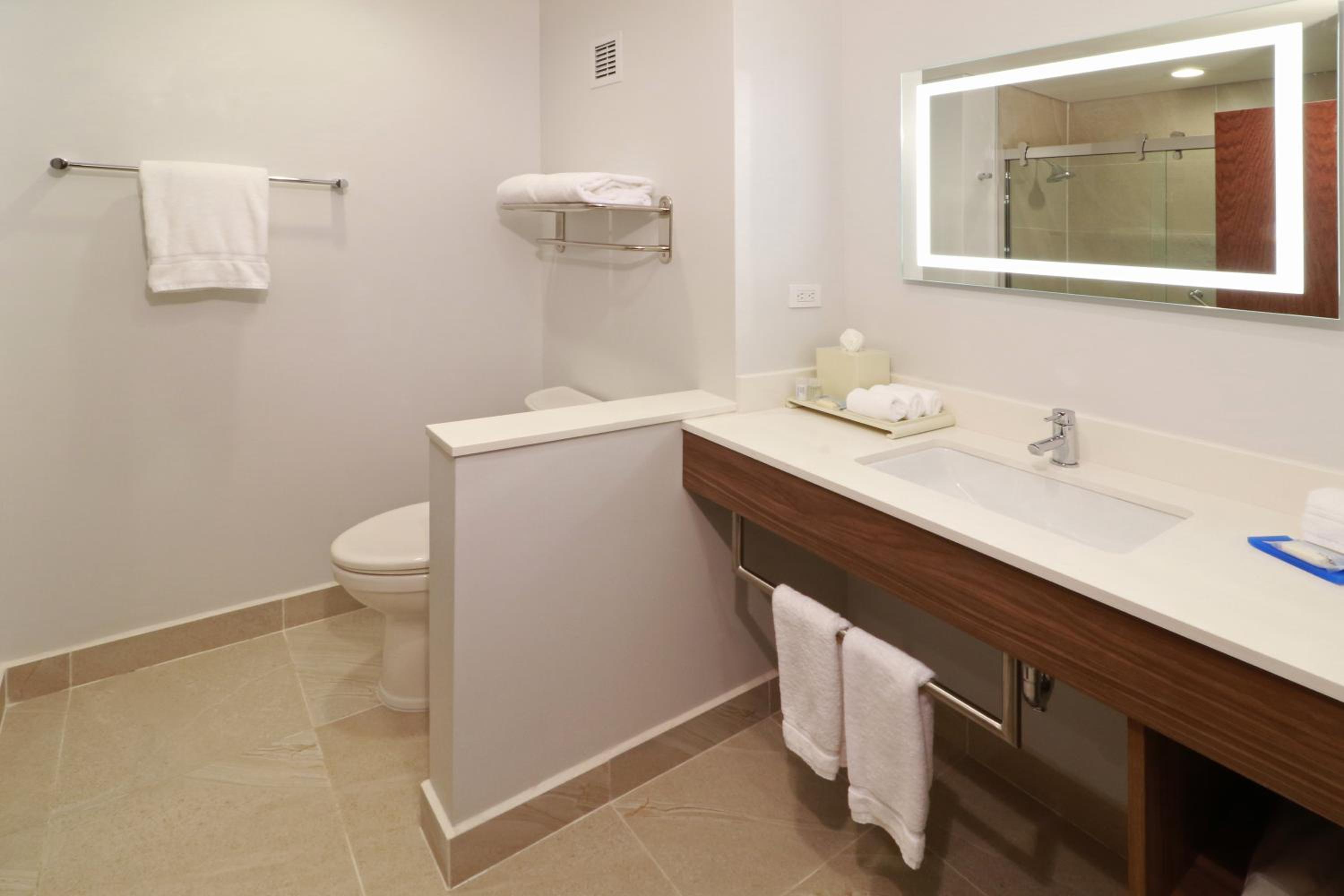 Ensenada Vacations - Holiday Inn Express Suites - Ensenada Centro, an IHG Hotel - Property Image 51
