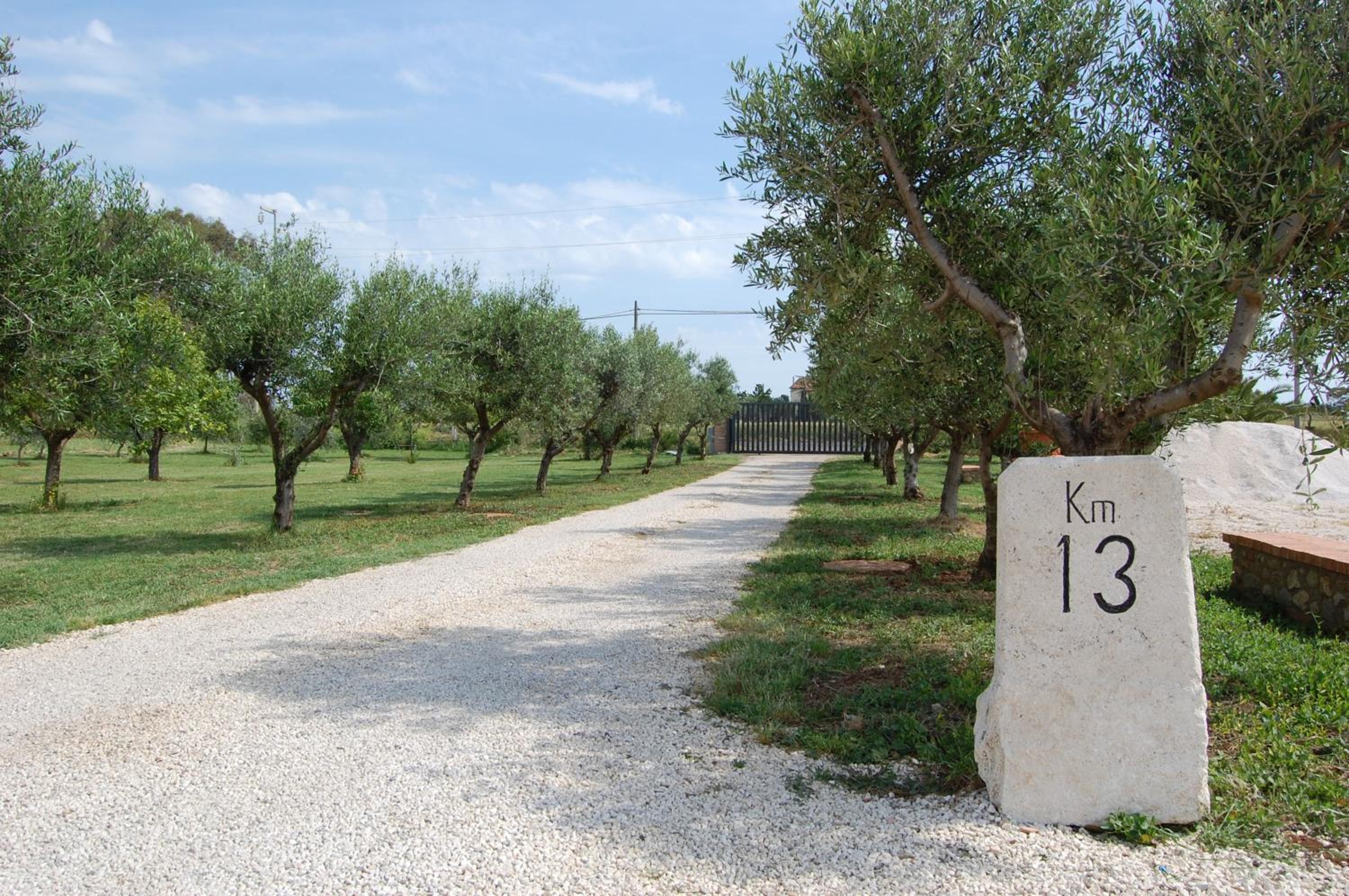 Podere 1248