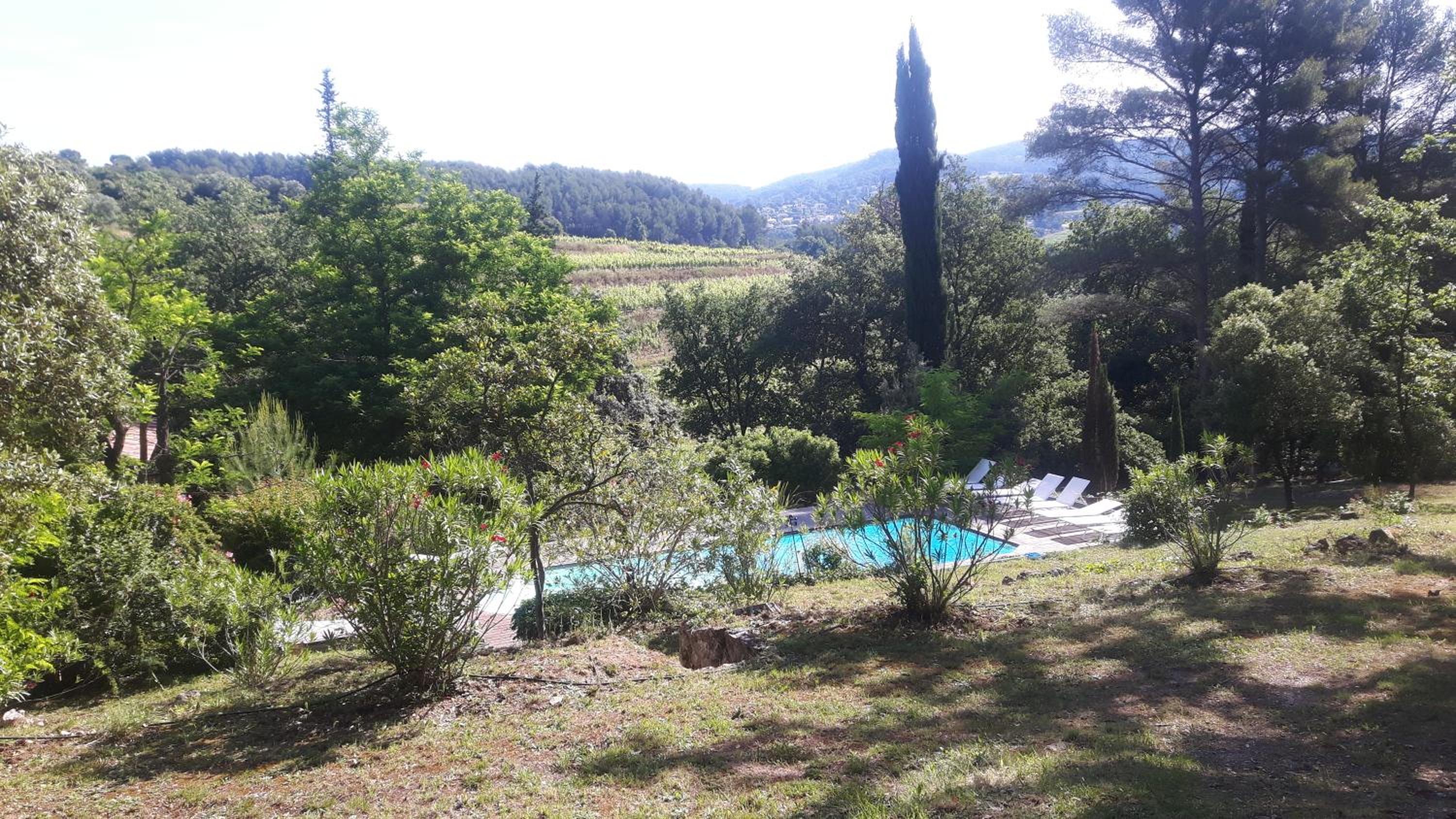 baraveou home in nature view 2