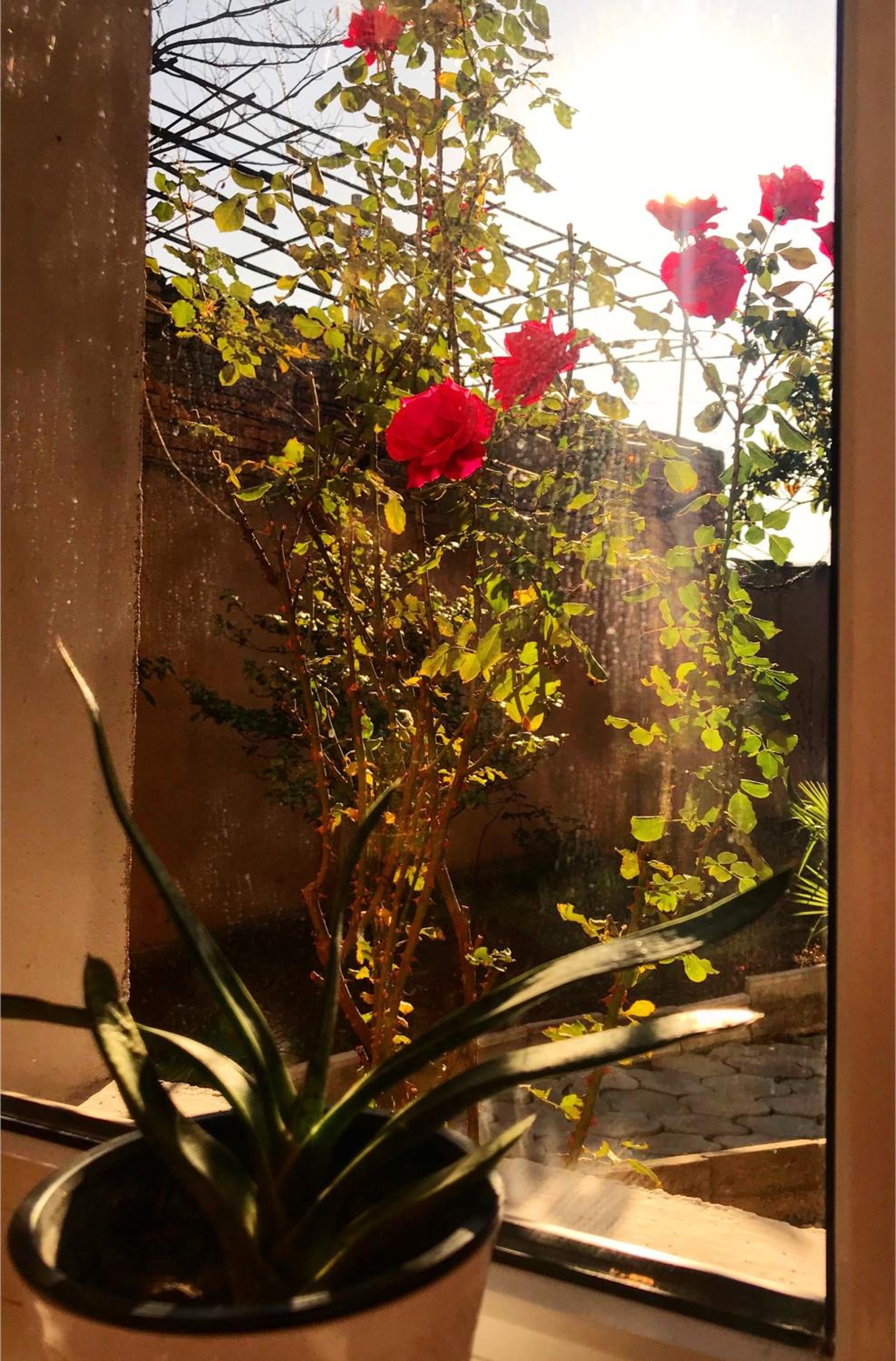 Photo 28