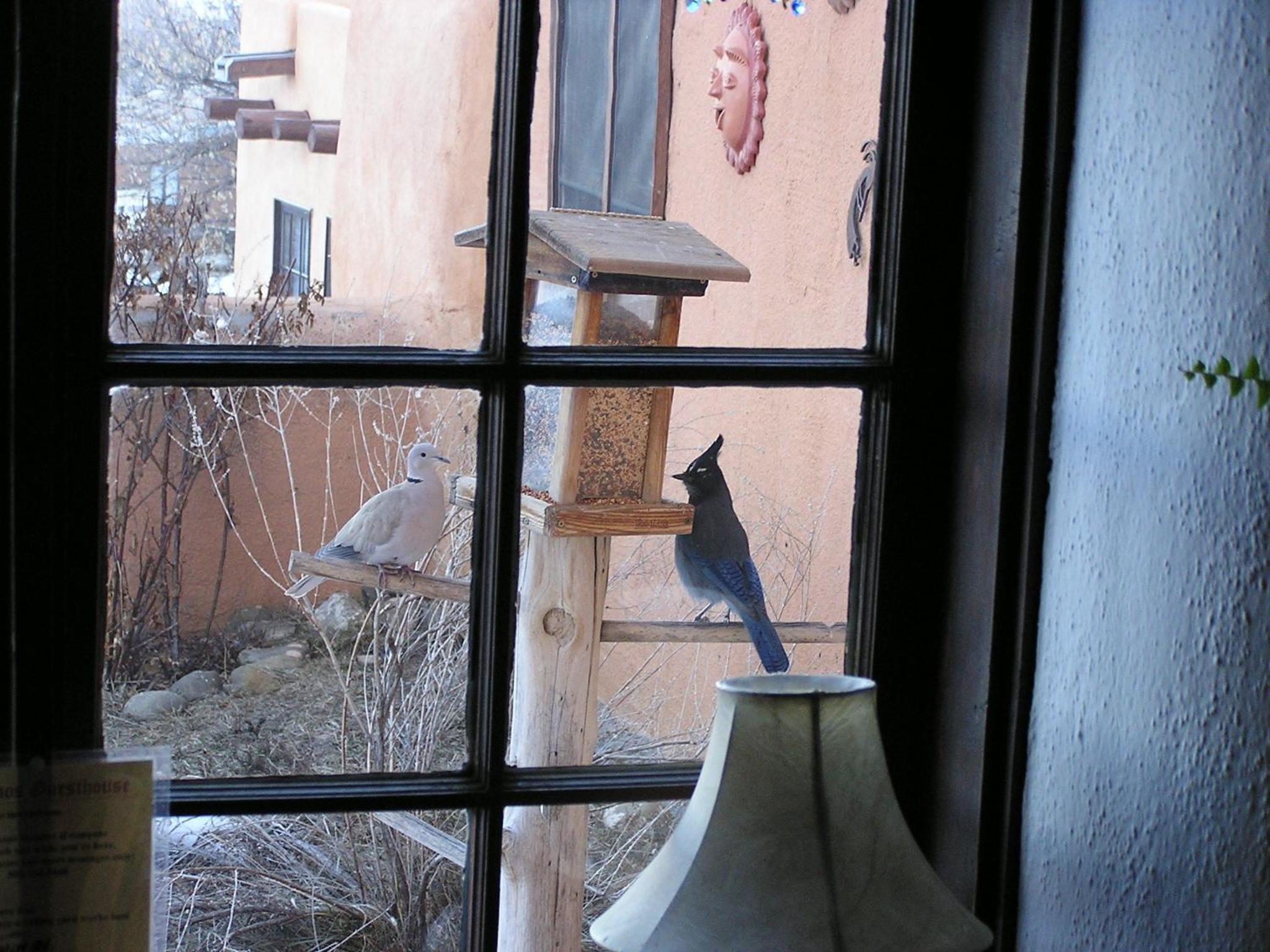 Photo 7