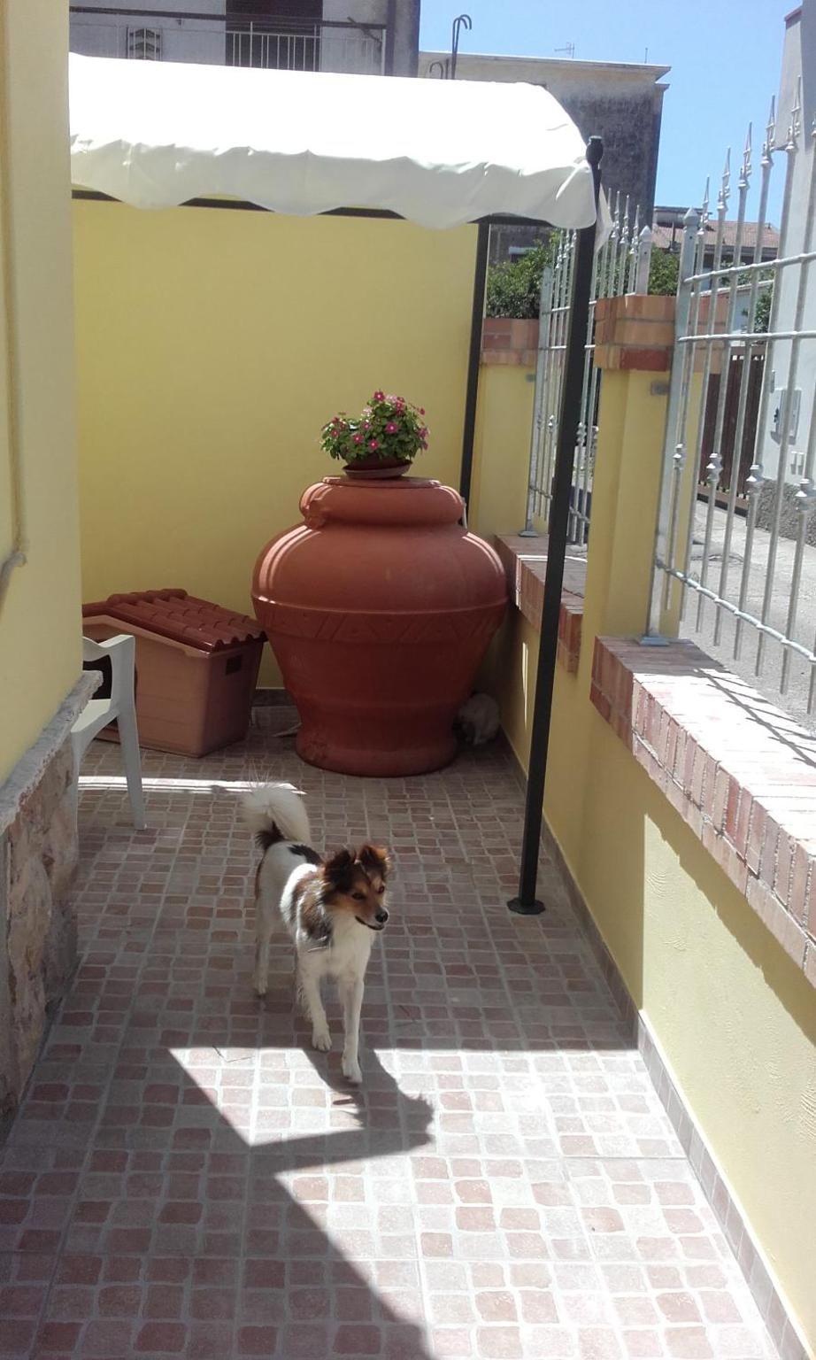 Photo 12