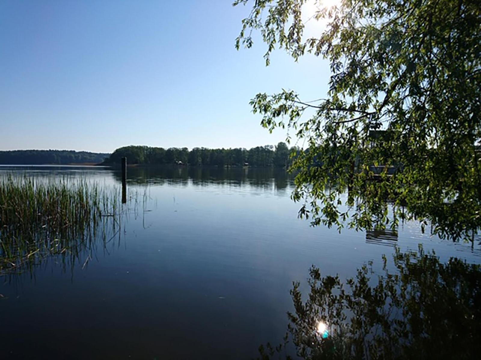 Waldschenke Stendenitz Ubernachten im Wald am See - Property Image 3