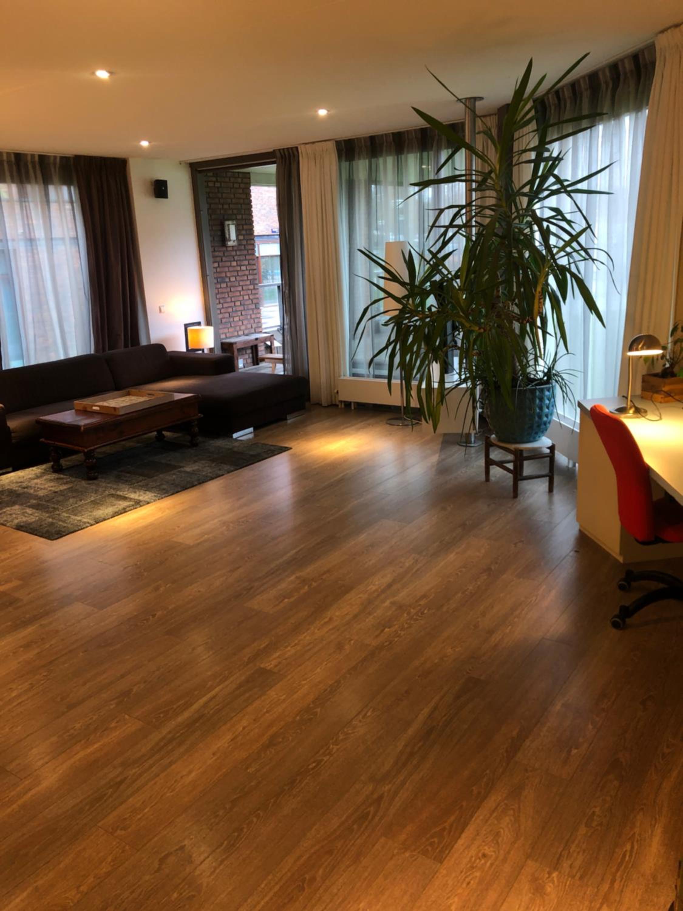 Lounge Park Apartment
