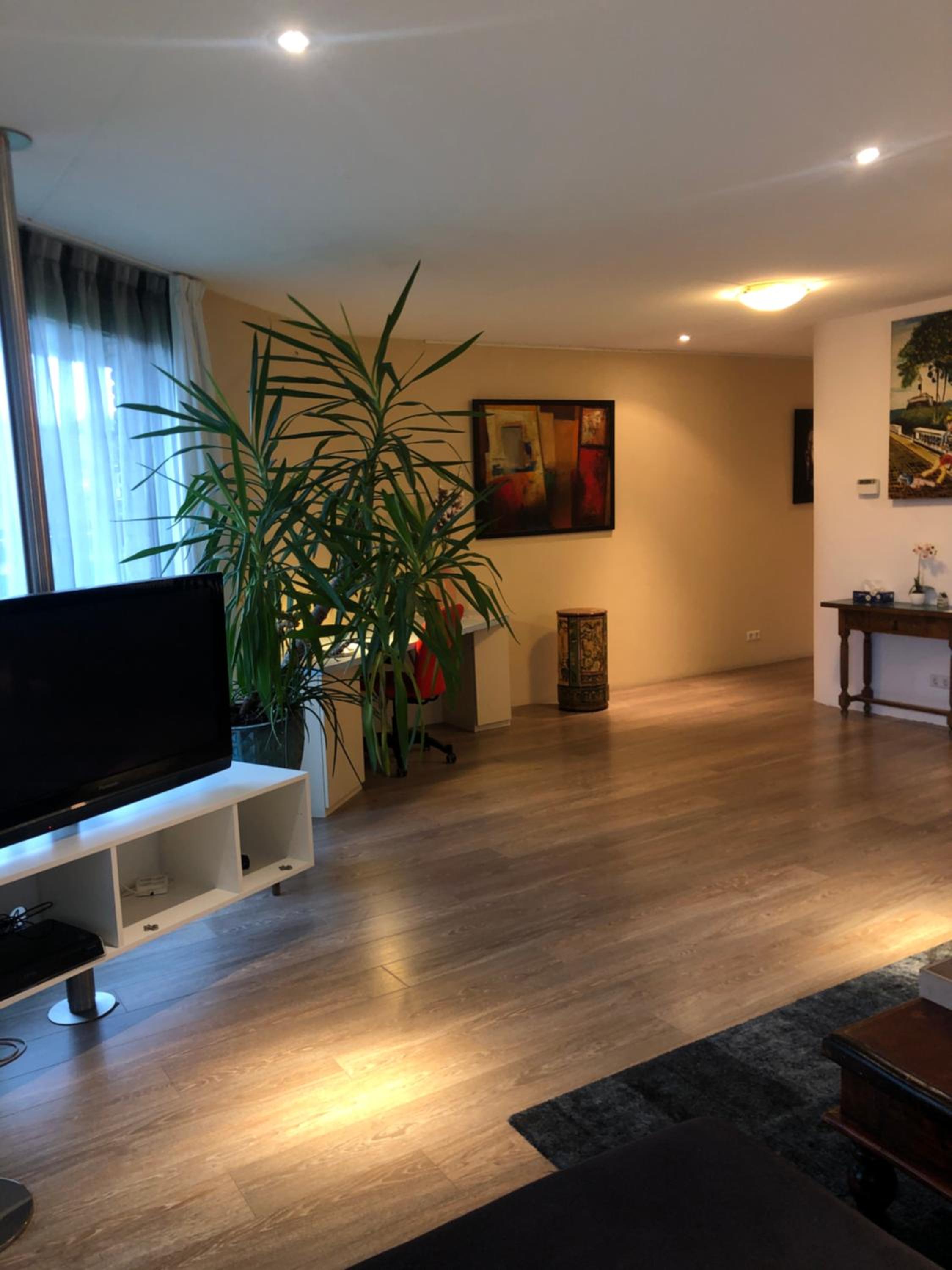 Lounge Park Apartment