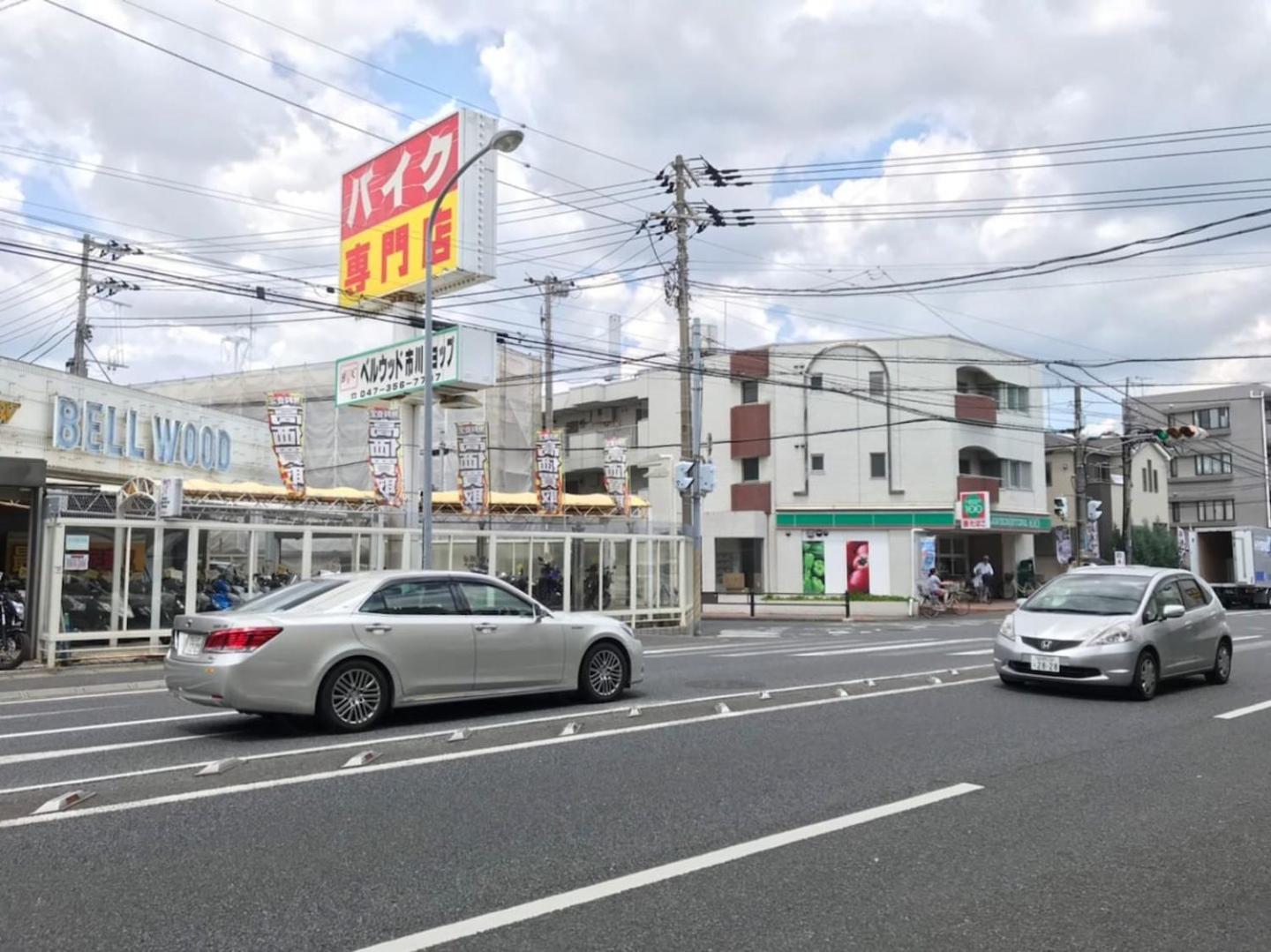 Sun white Gyoutoku 202 view 4
