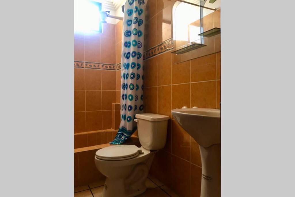 Photo 31