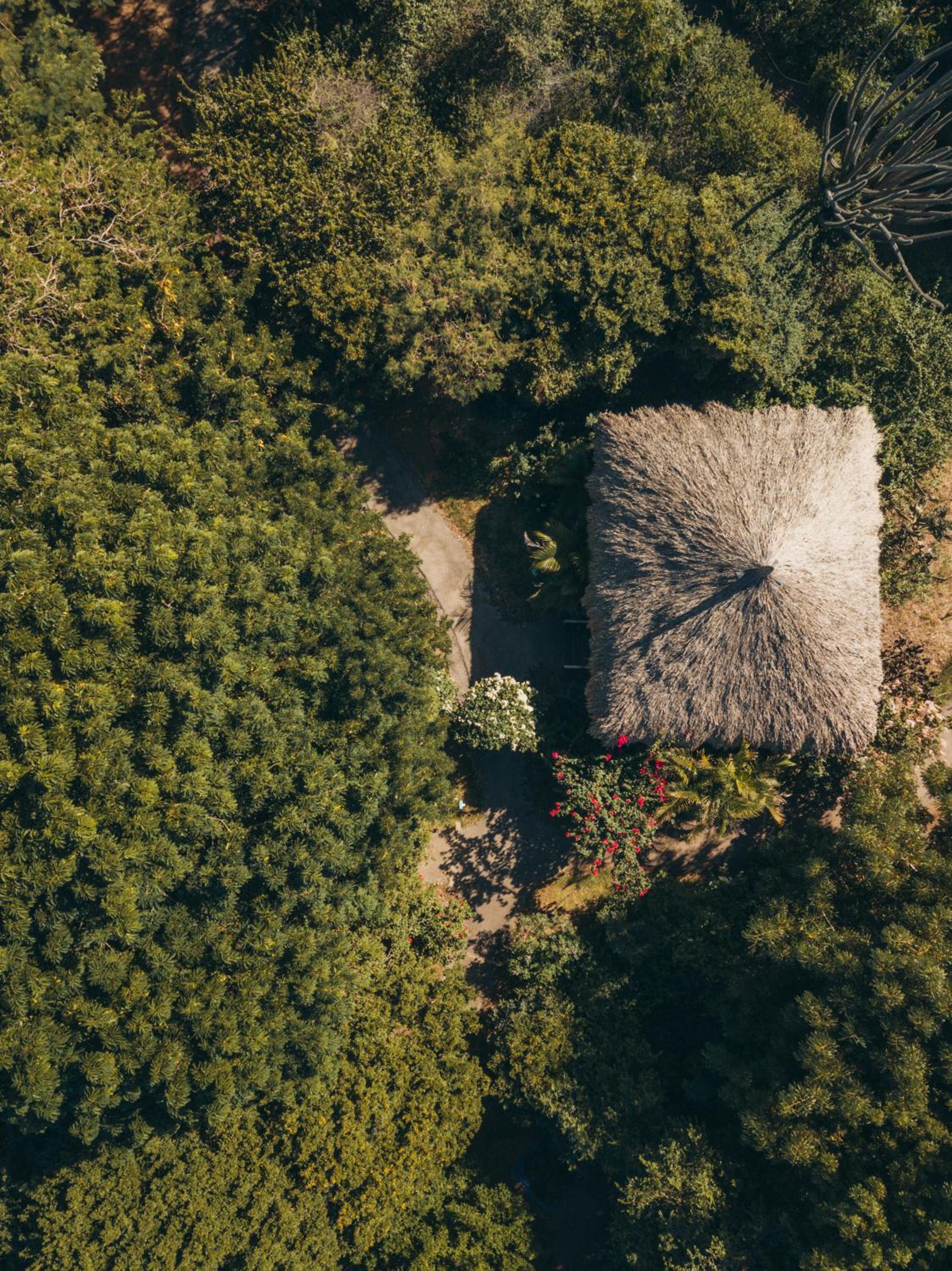 Mondi Lodge