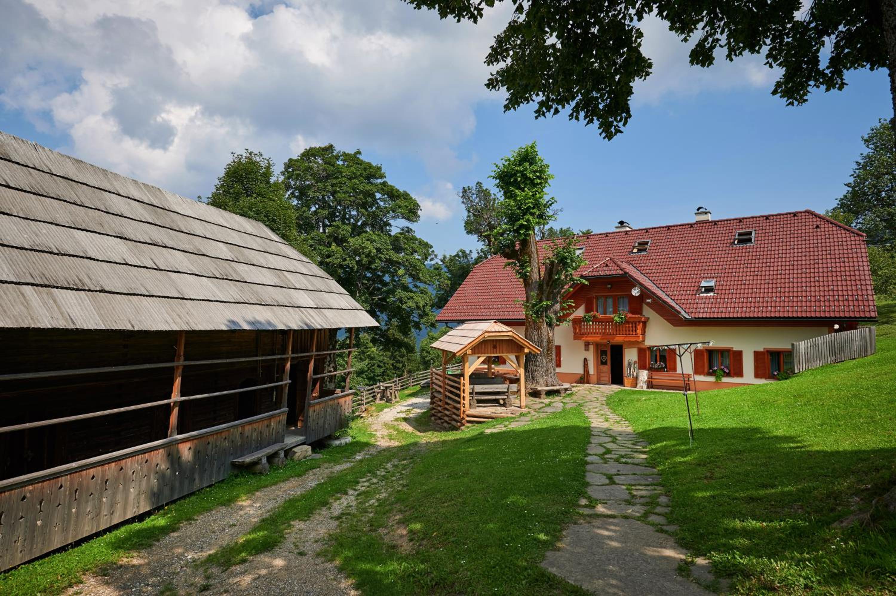 Farmstay&Glamping Visočnik view 4