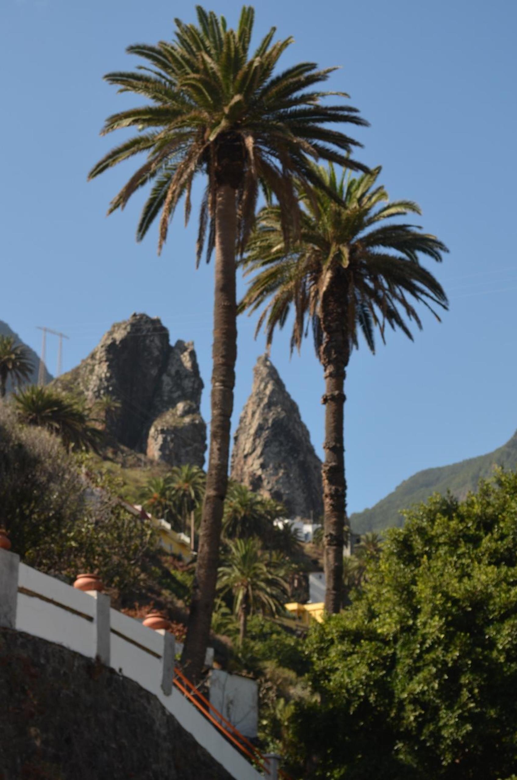 Casa Bayoll a house with history view 3