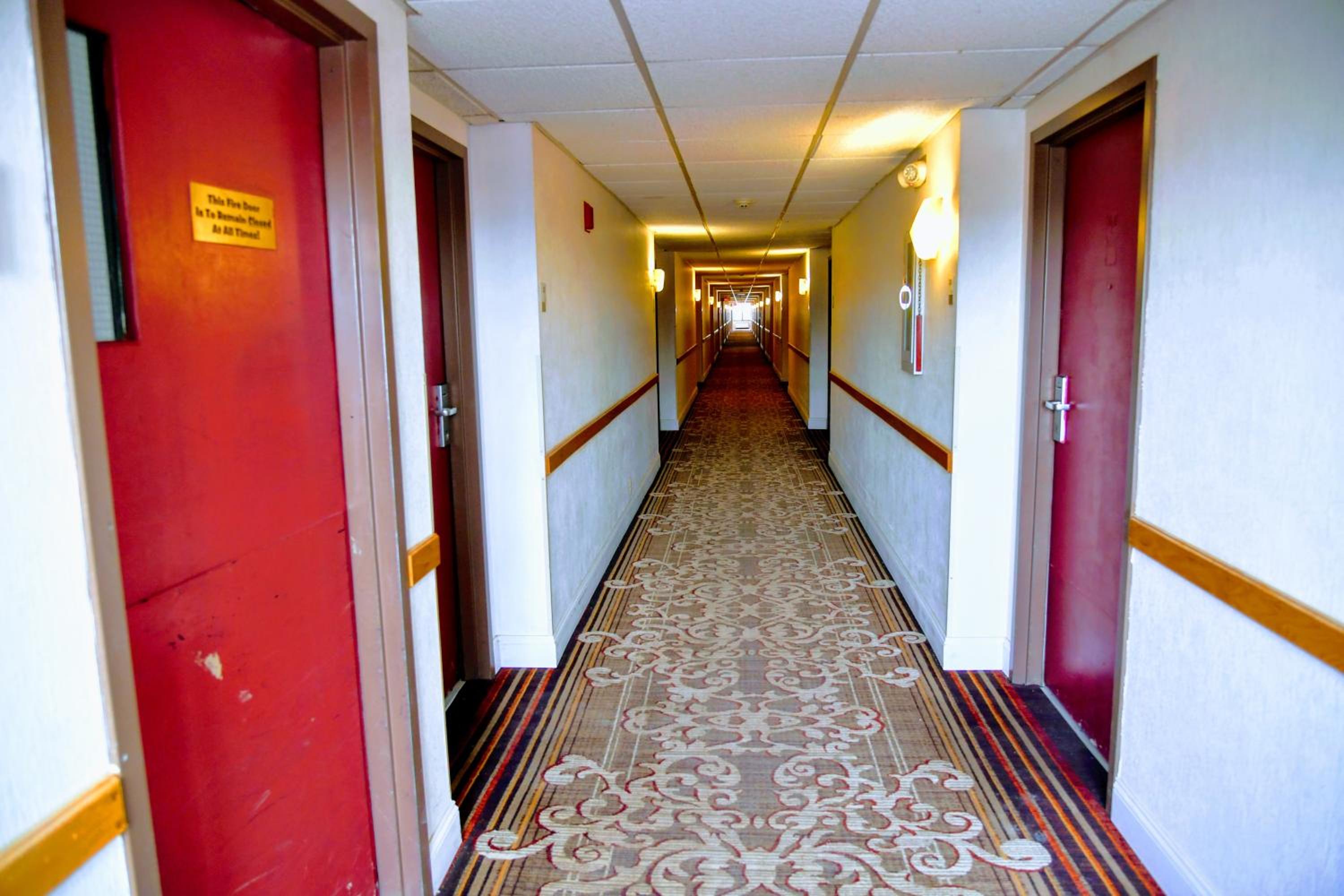 Photo 40