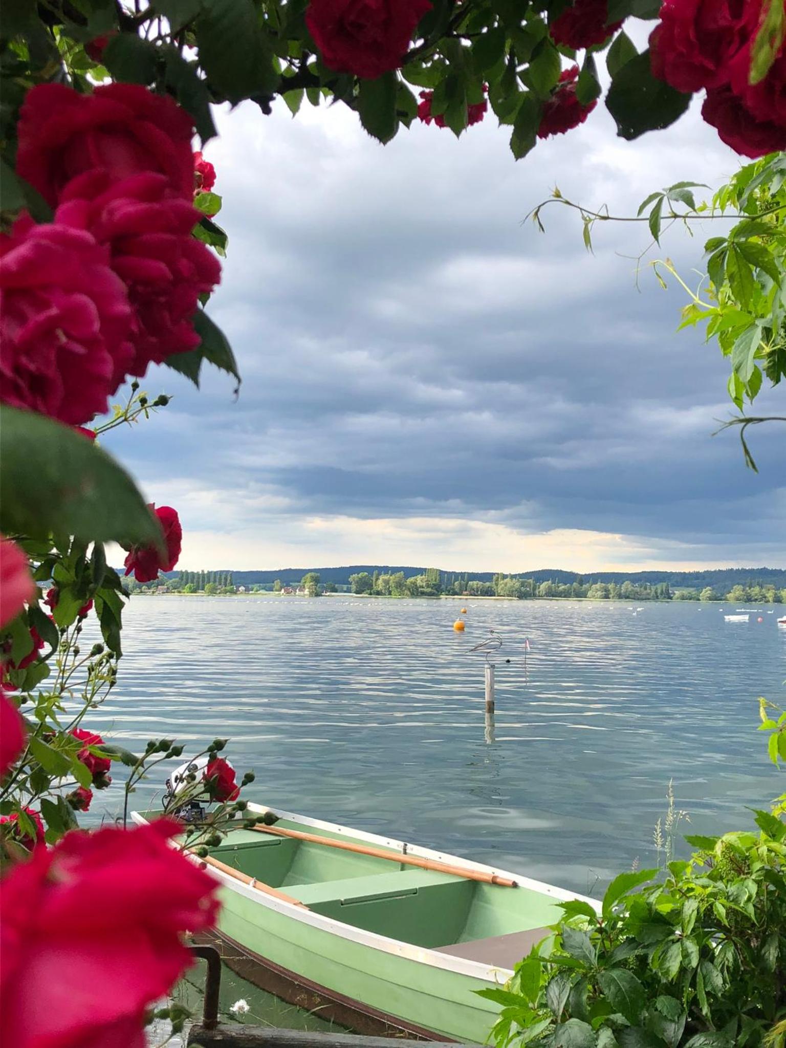 Idyllische Ferienwohnung am See view 3