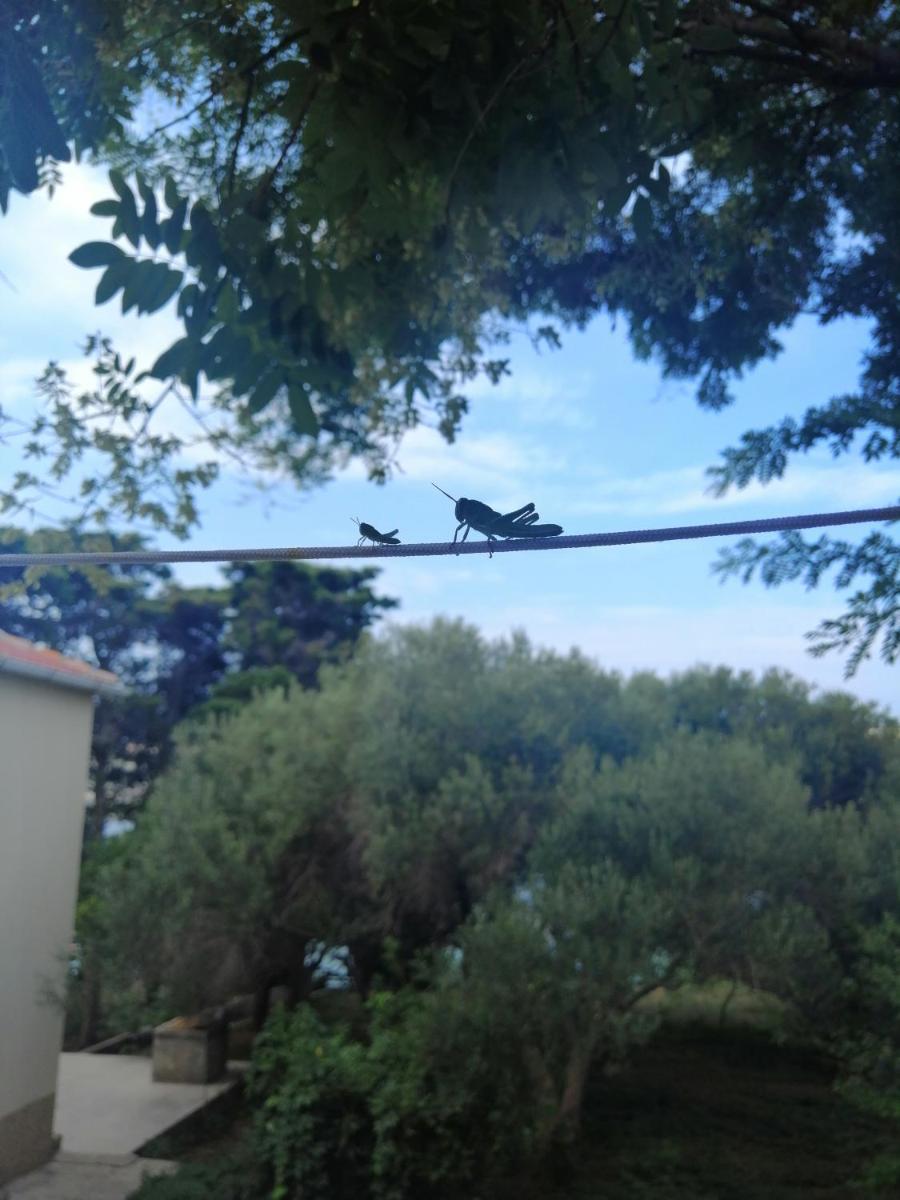 Photo 34